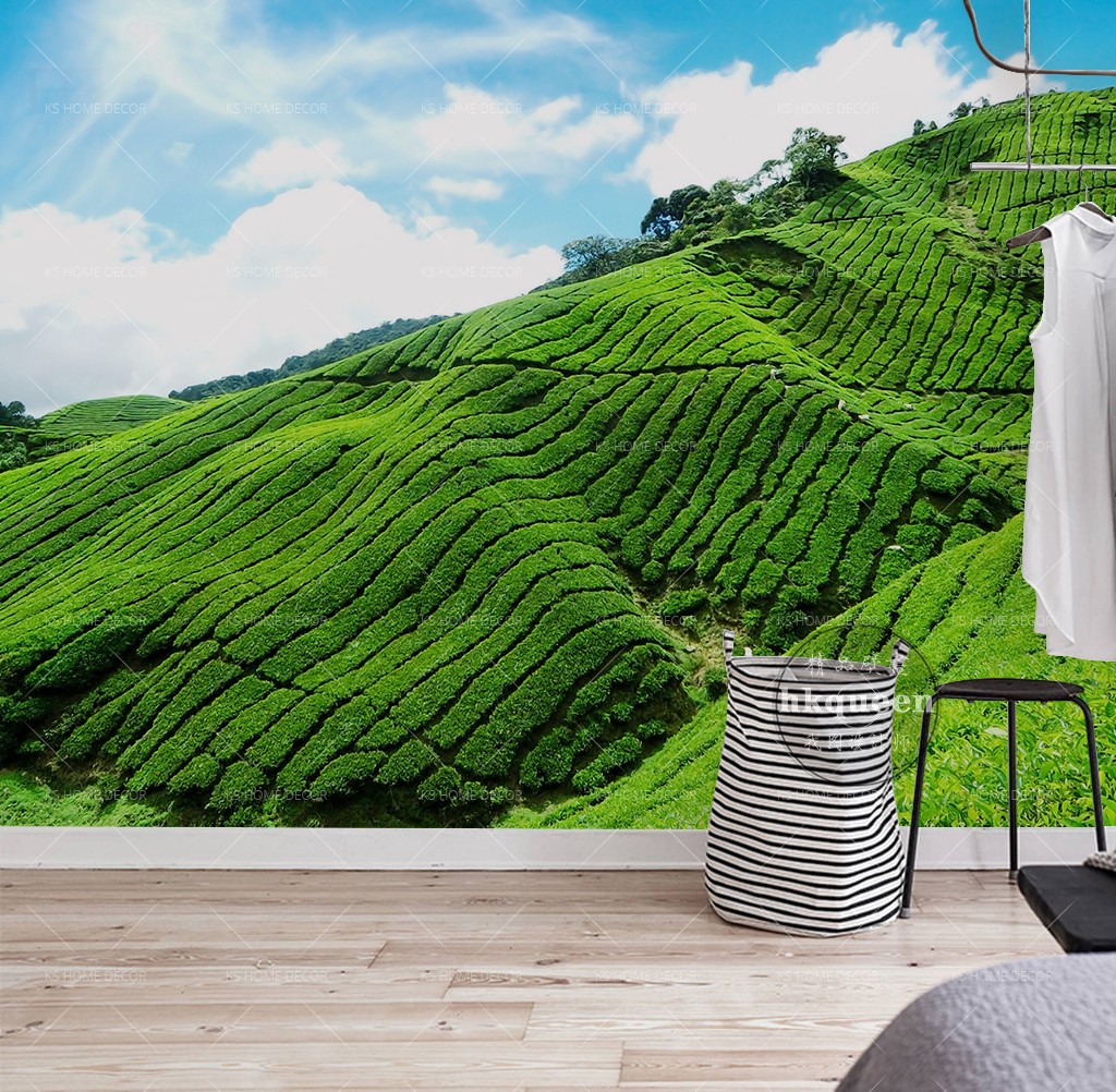 Cameron Highland - HD Wallpaper 