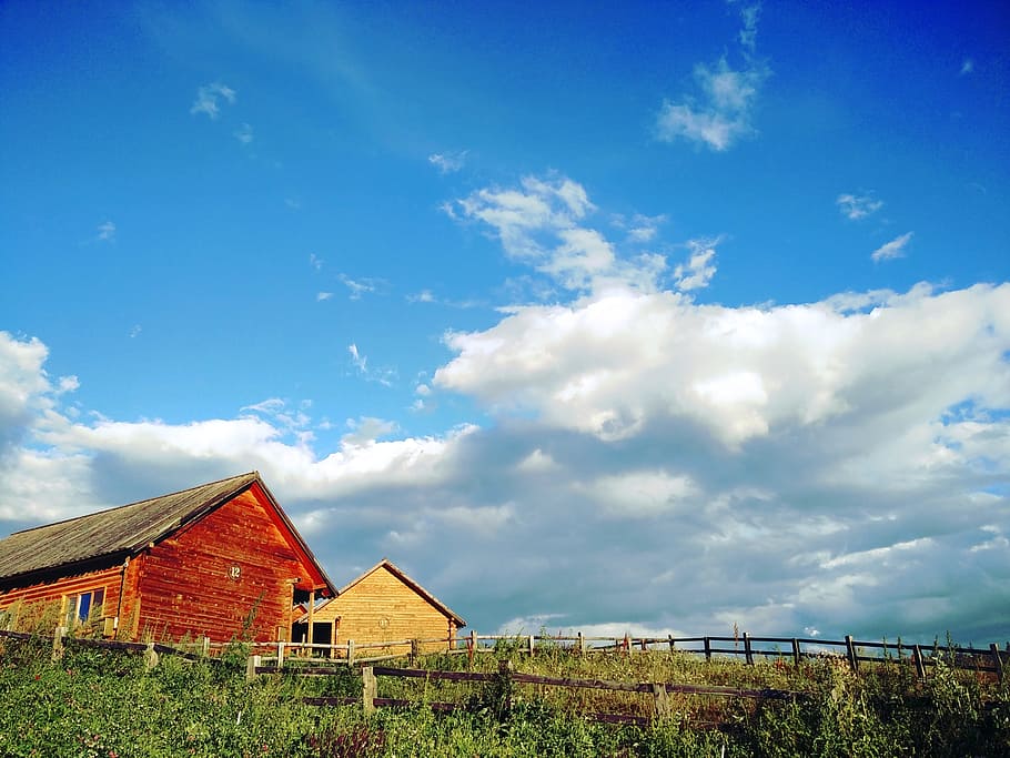 Sunny Days, Log Cabin, Color, Barn, Rural Scene, Farm, - HD Wallpaper 