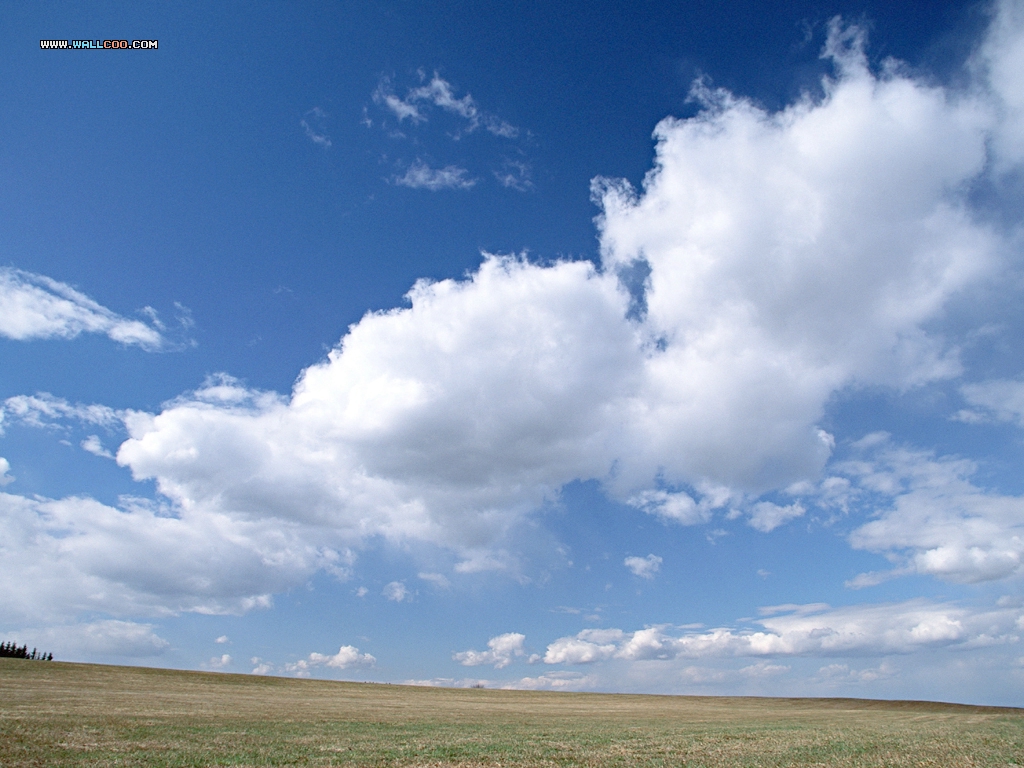 Beautiful Country Farm Scene Photography 1024*768 No - ロイヤル ガーデン 伊福 町 - HD Wallpaper 