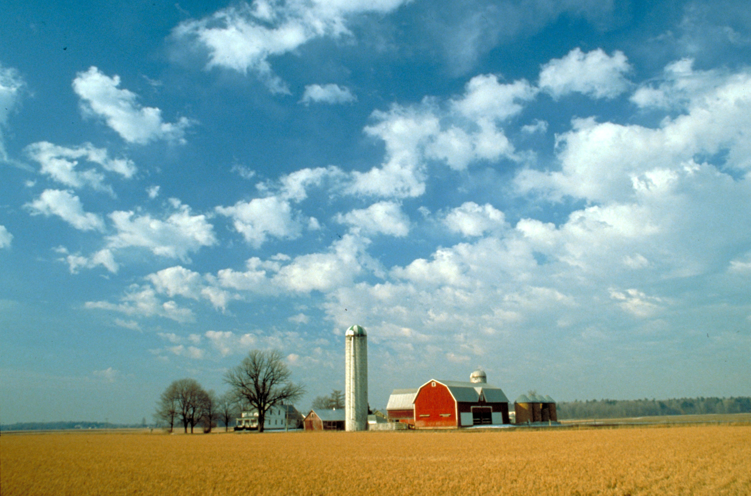 High Resolution Farm Background - HD Wallpaper 