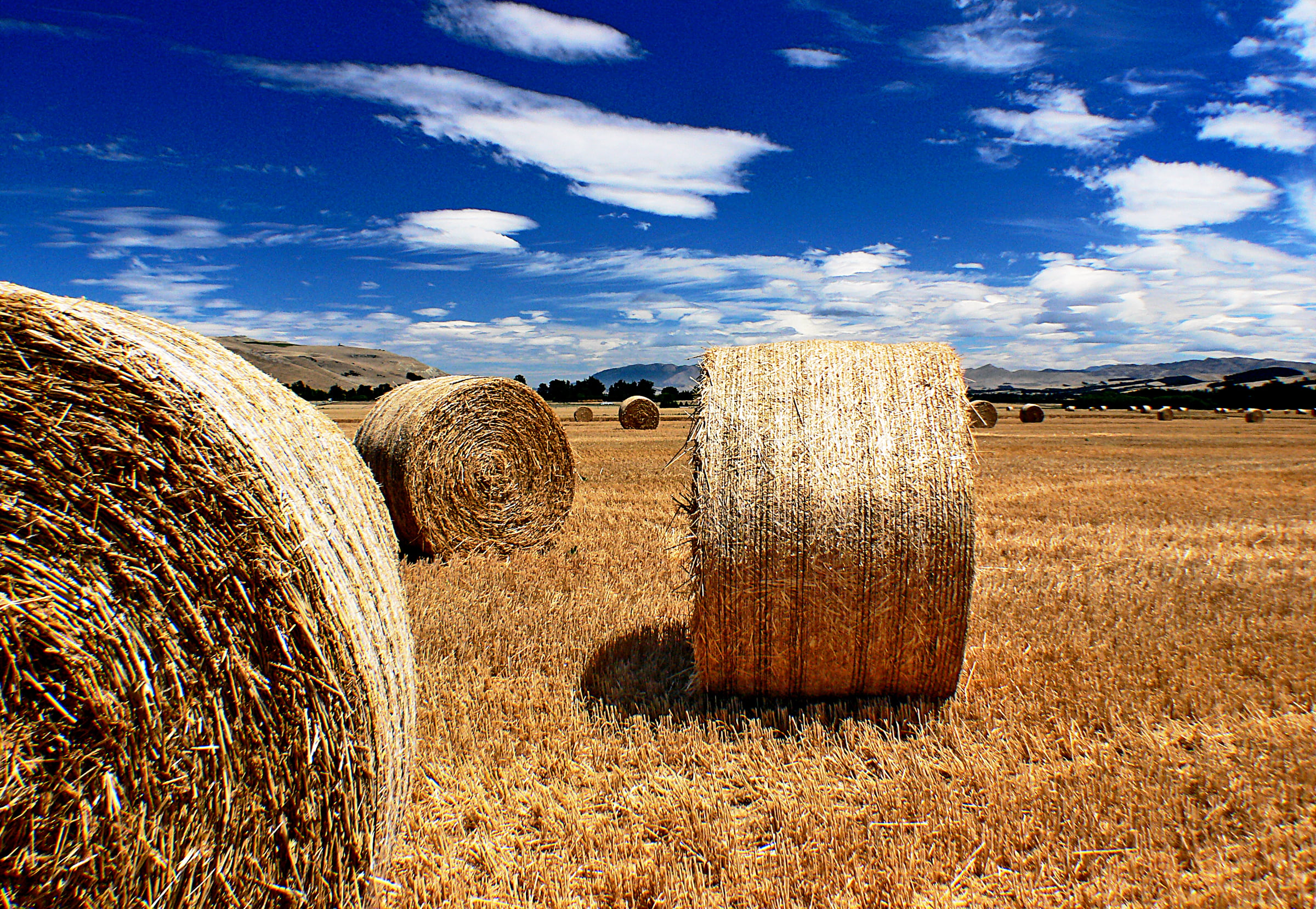 Farm Scene Wallpaper - HD Wallpaper 