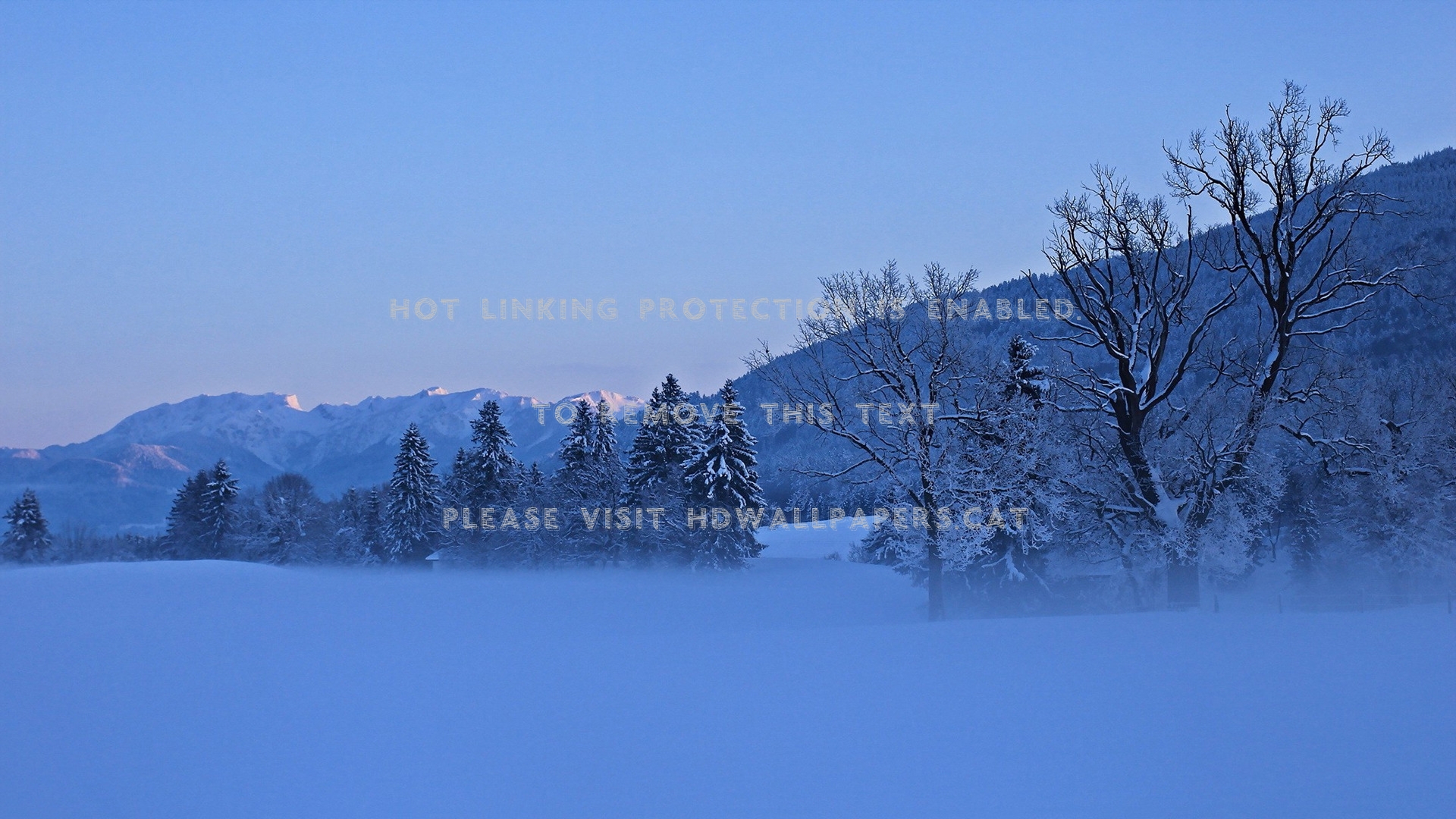 Blue Foggy Winter Morning Scene Fields Farm - HD Wallpaper 