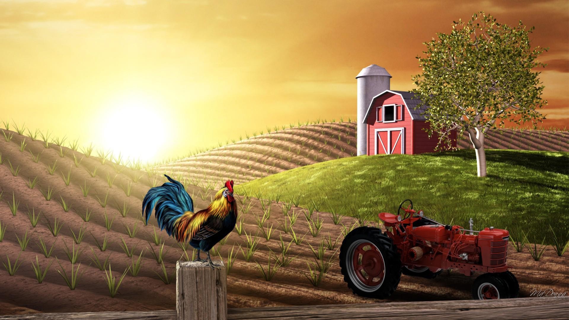 Sunrise Farm Â - Farm Wall Paper - HD Wallpaper 