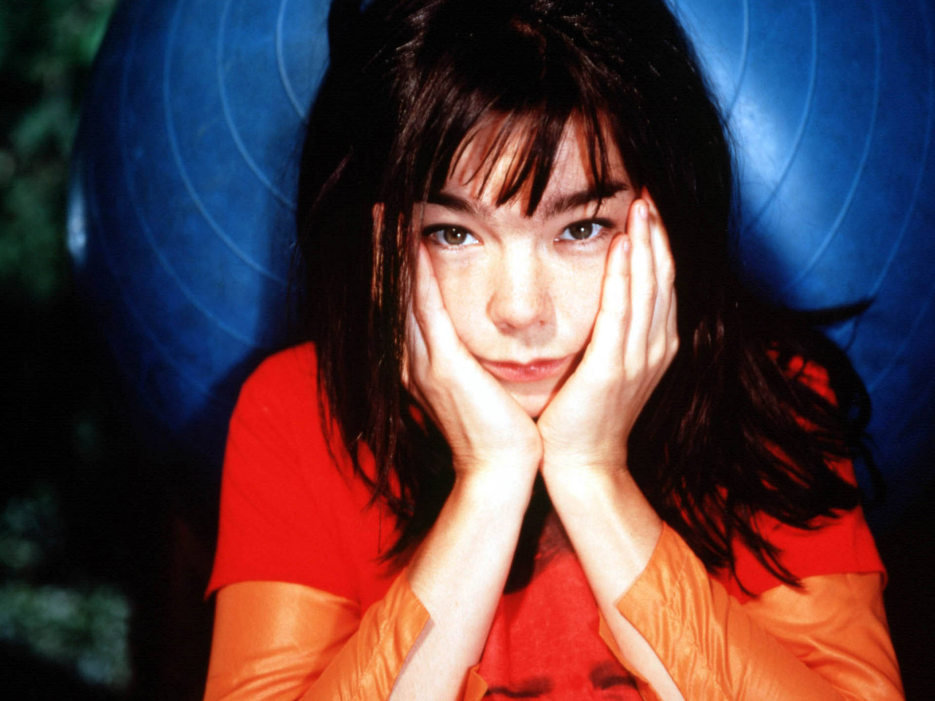Bjork 420210, Bjork, Wallpaper - Bjork Hd - HD Wallpaper 