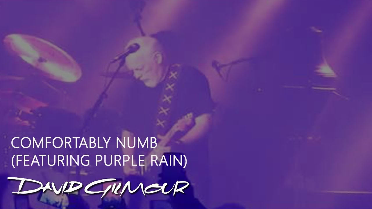 David Gilmour Purple Rain - HD Wallpaper 