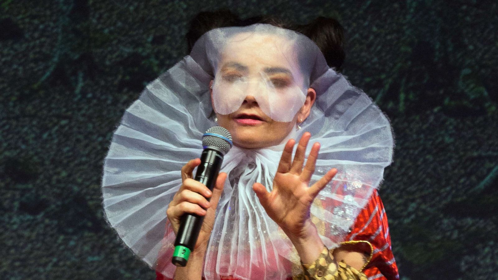 Bjork Weird - HD Wallpaper 