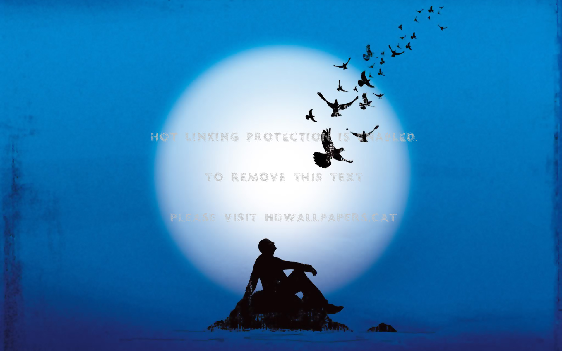 David Gilmour-on An Island Rock Pink Floyd - David Gilmour On An Island - HD Wallpaper 