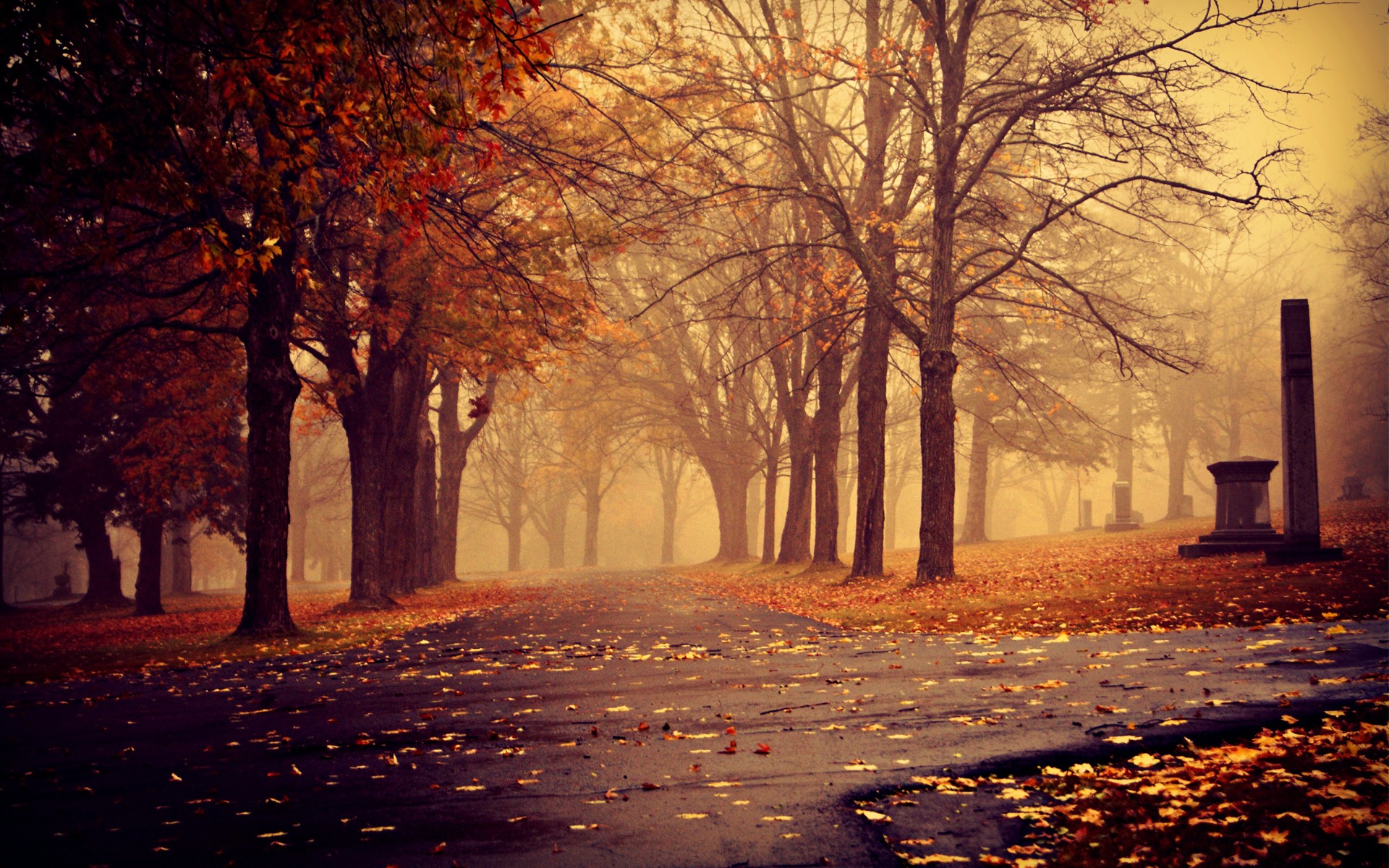 Autumn Desktop Background - HD Wallpaper 