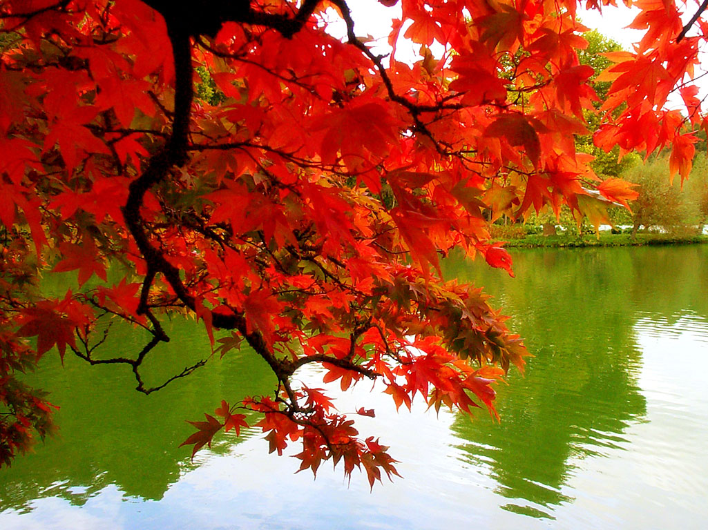 Fall Desktop Wallpaper Free - Beautiful Autumn Weather - HD Wallpaper 