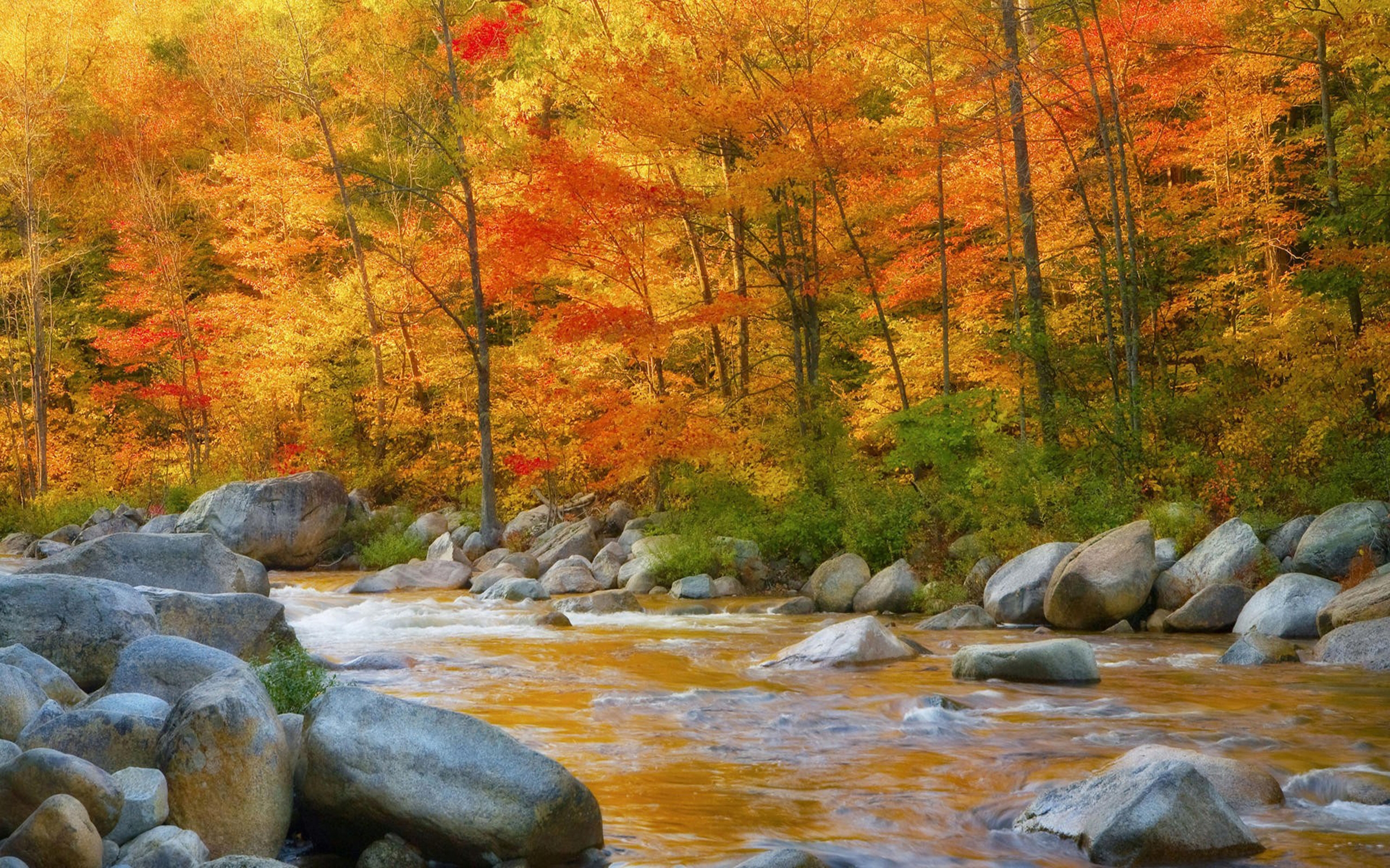 New Hampshire Fall Desktop - HD Wallpaper 