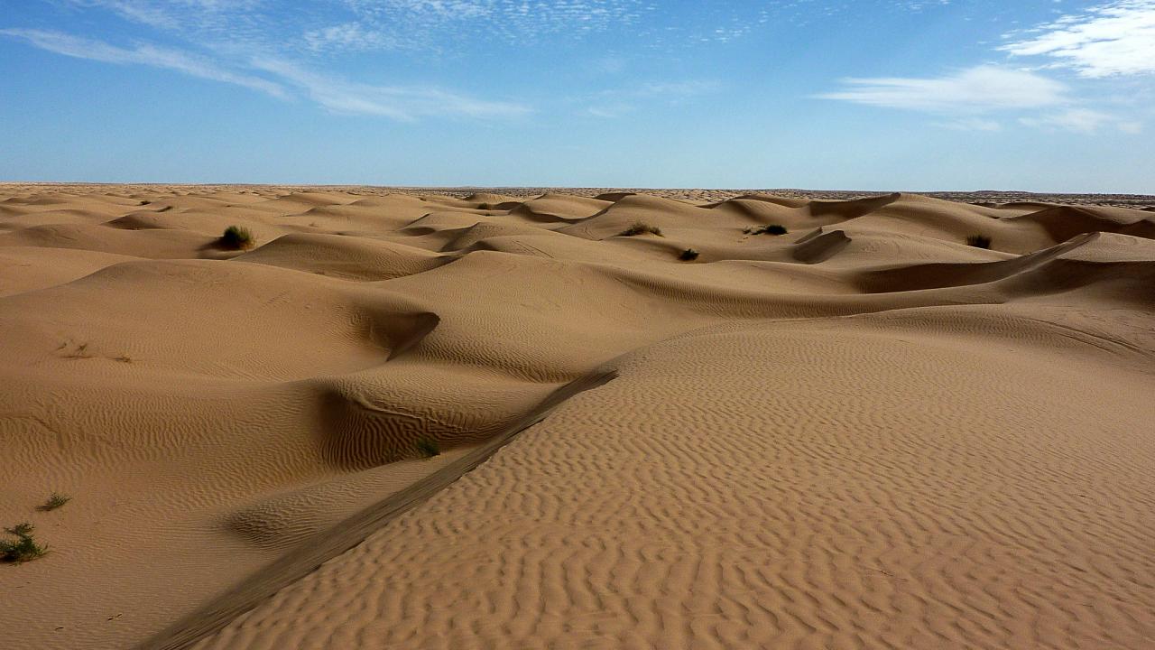 Satellite Images Have Revealed Traces Of A Vast Ancient - Satellite Image Of Sahara Desert - HD Wallpaper 
