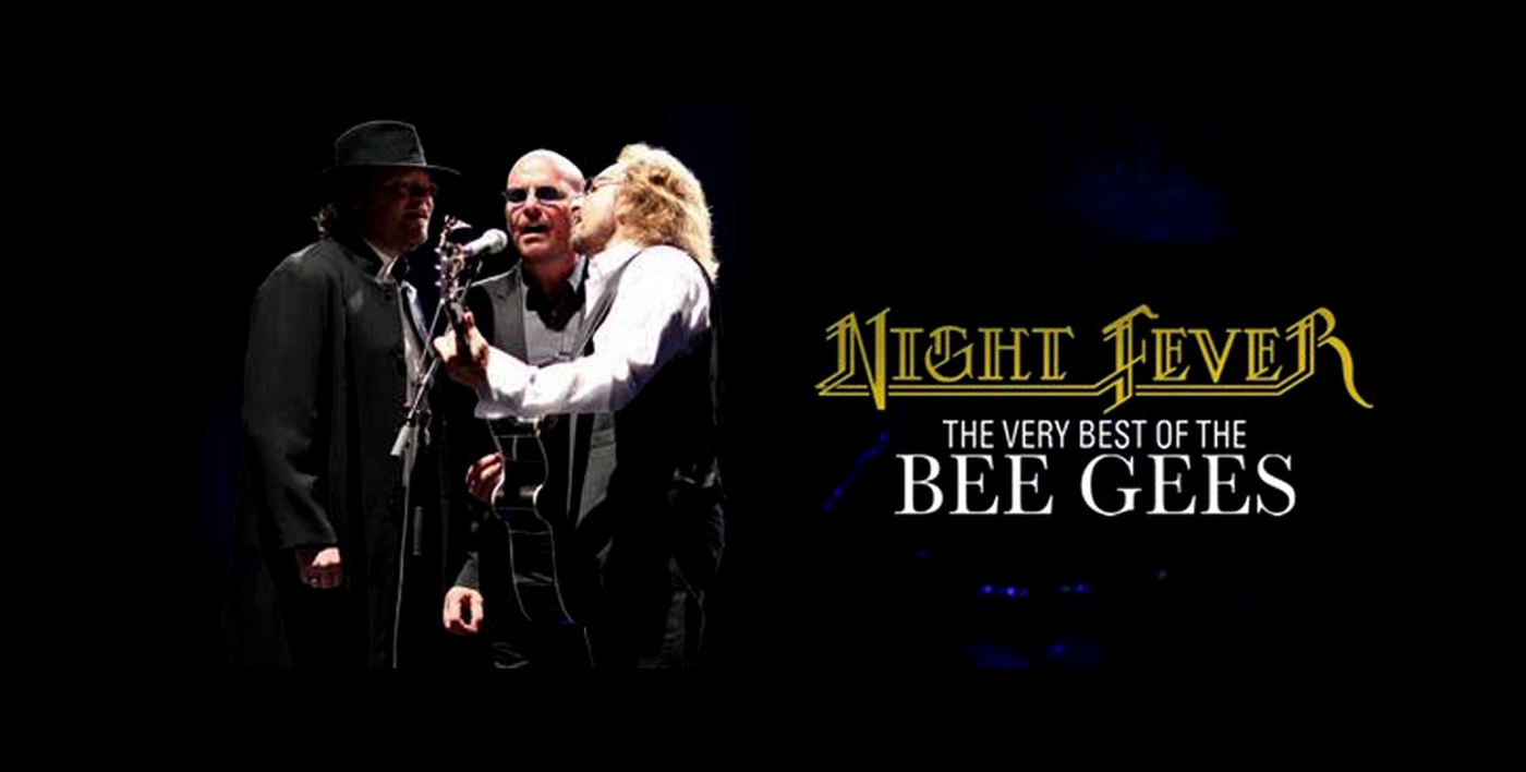 Night Life Of Trees - HD Wallpaper 