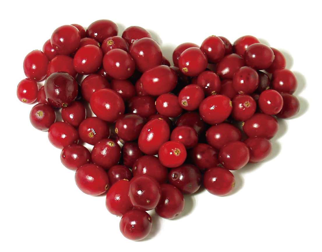 Cranberry - Cranberries Fruit - HD Wallpaper 