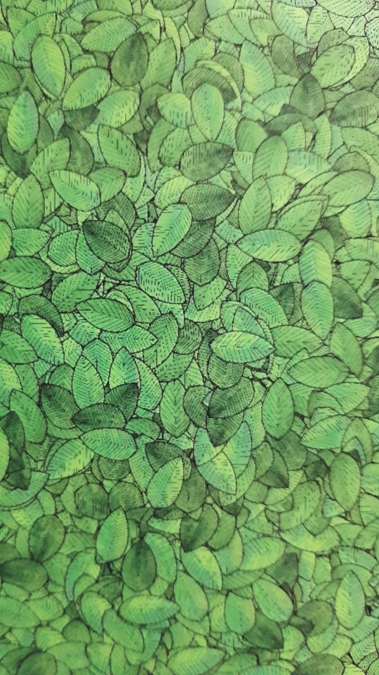 Image - Dew - HD Wallpaper 