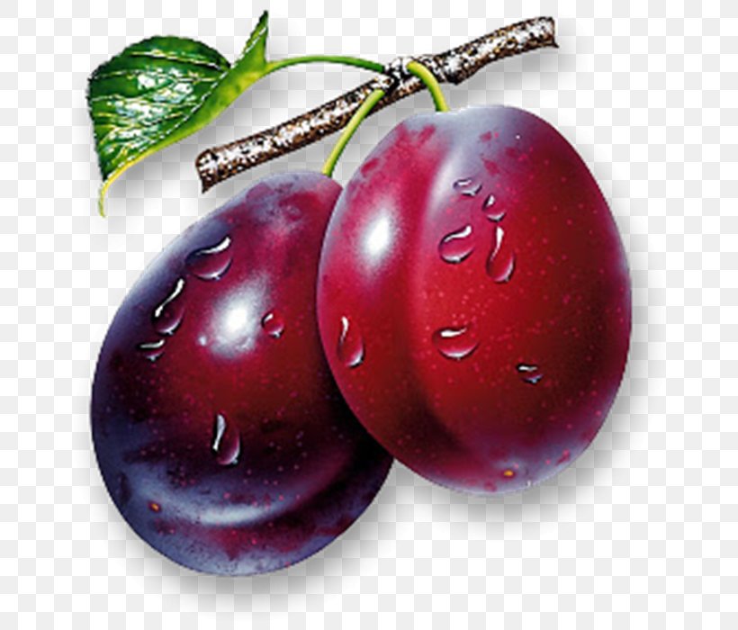 Plum Desktop Wallpaper High-definition Television Clip - HD Wallpaper 