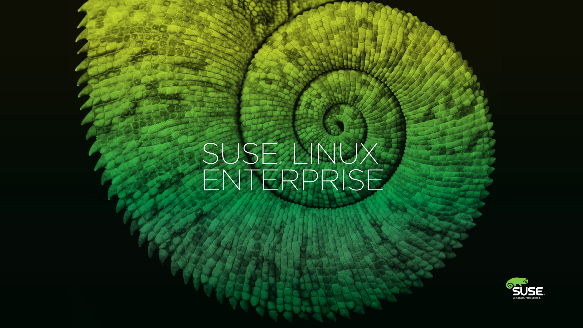 Opensuse - HD Wallpaper 