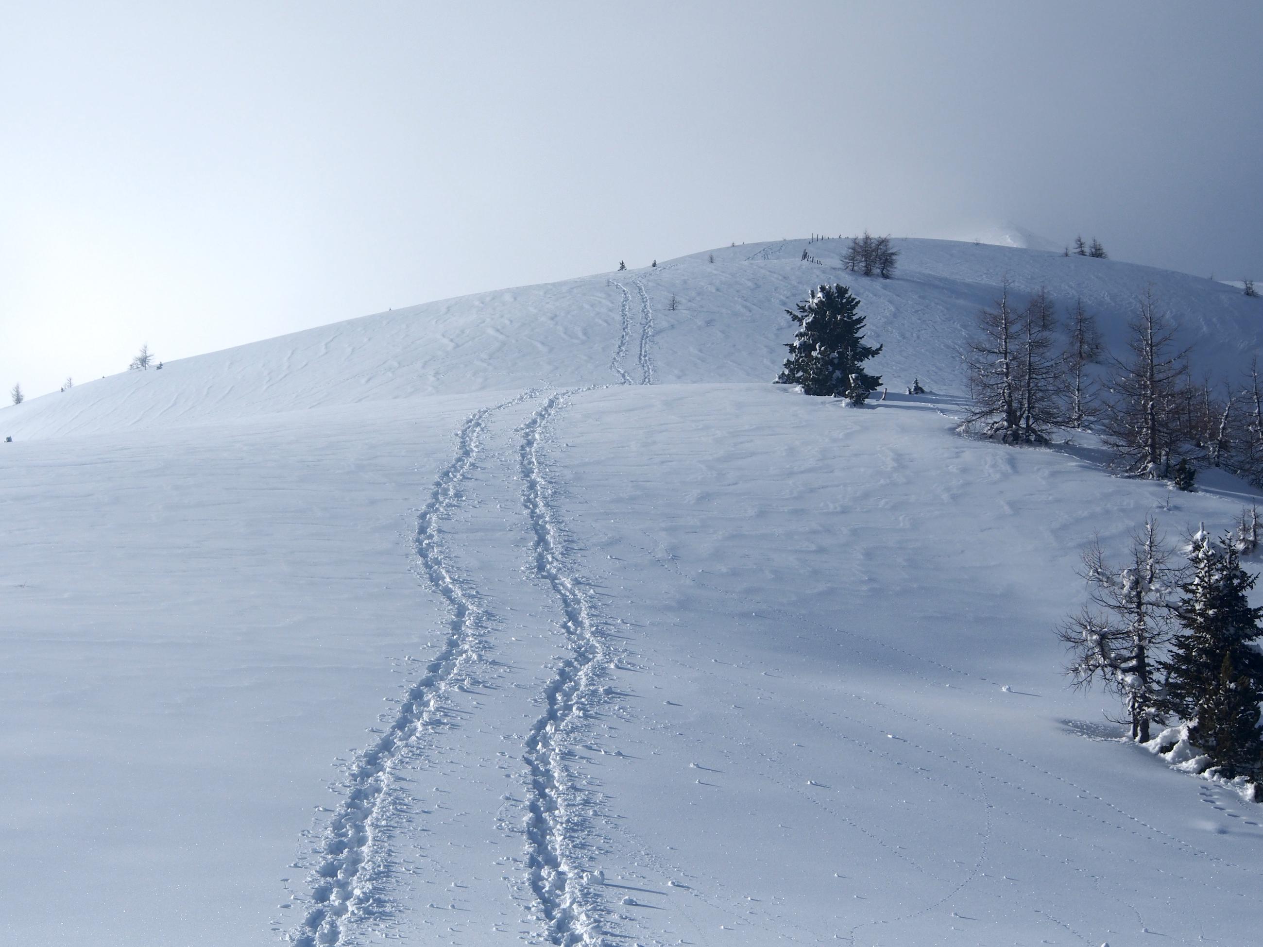 Ubuntu Background Winter - HD Wallpaper 