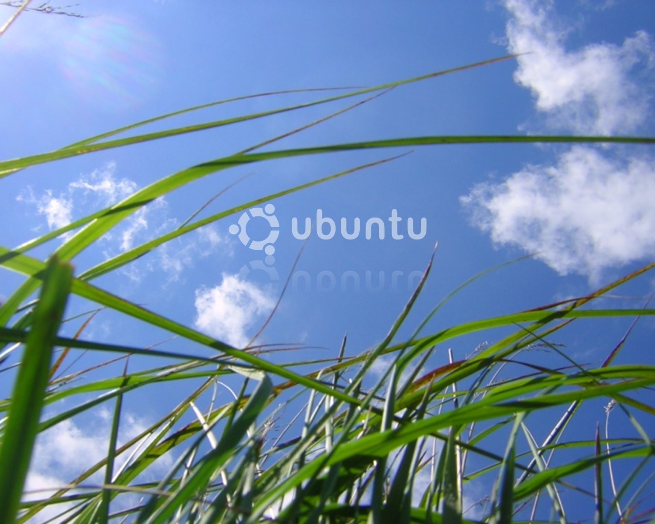 Linux Ubuntu - HD Wallpaper 
