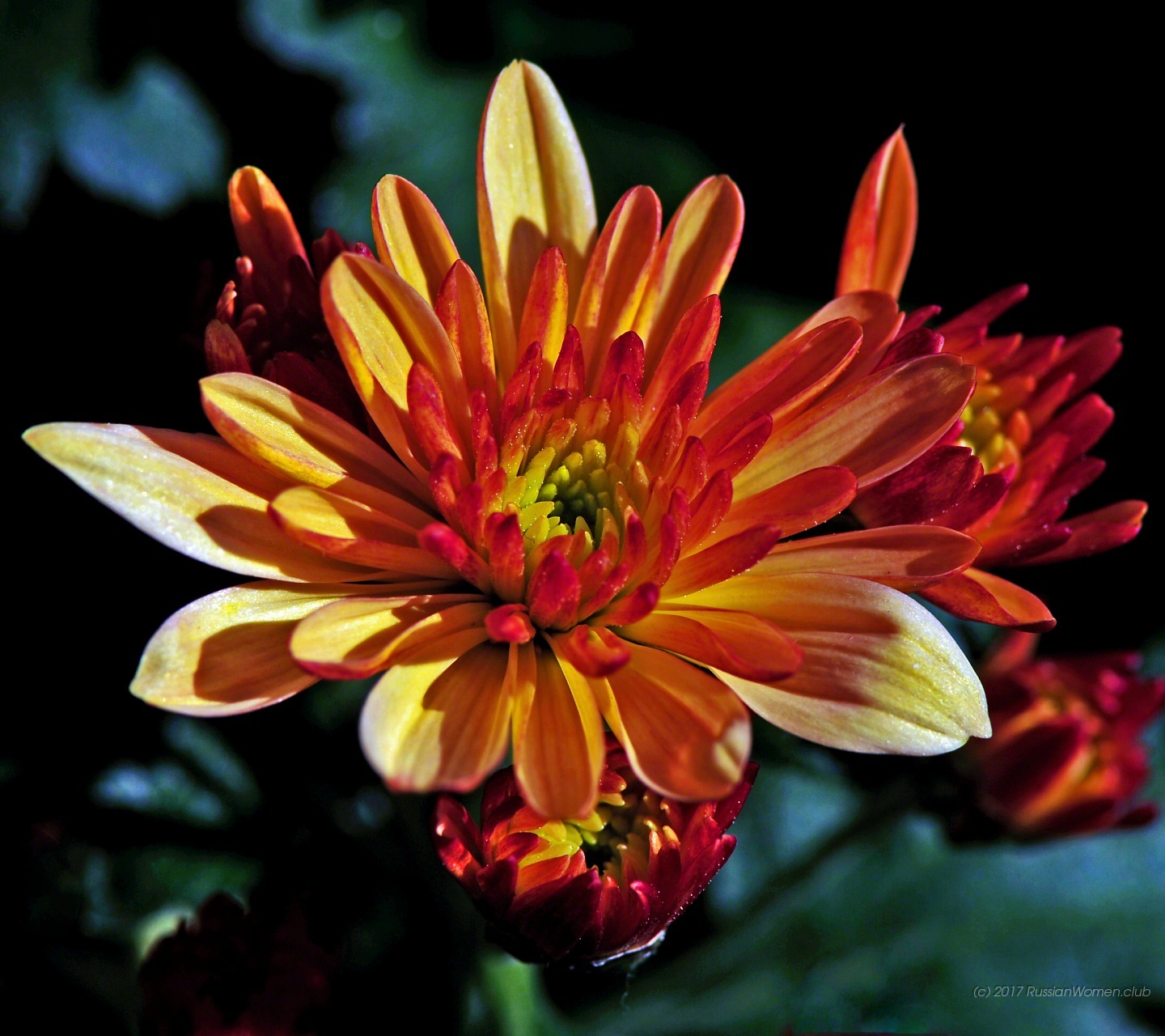 Lyf Water - Wallpaper - HD Wallpaper 