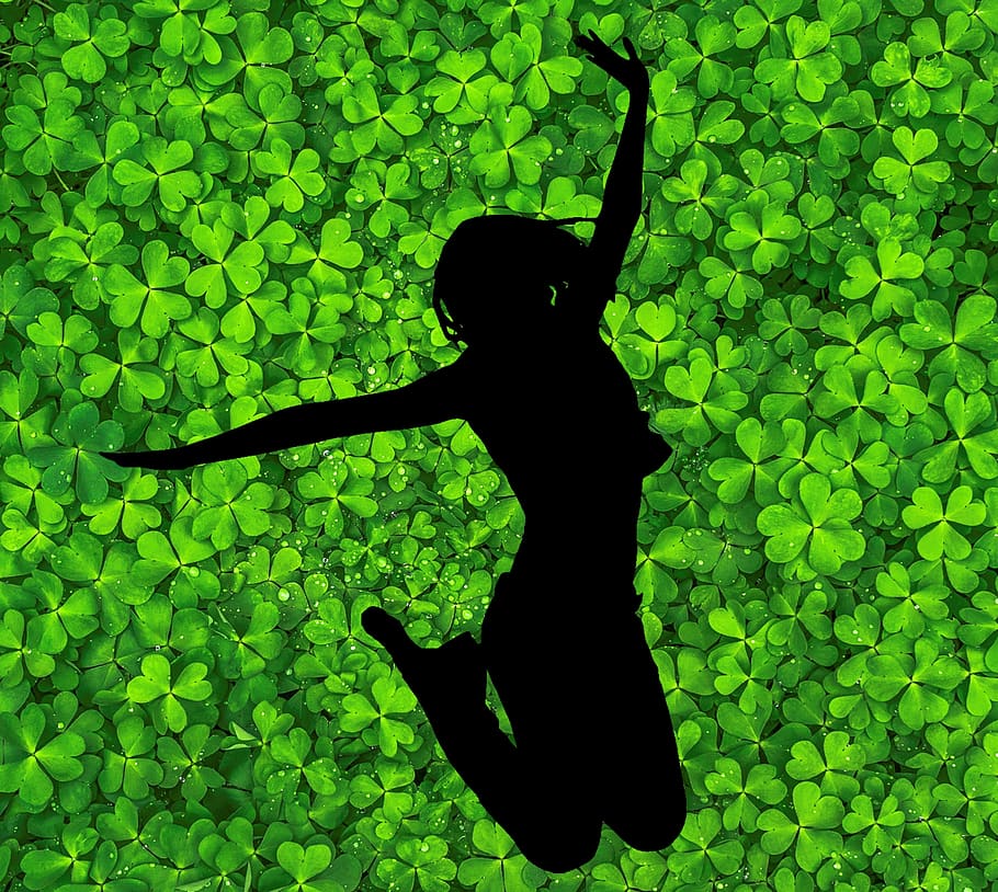 Happy, Luck, Satisfied, Win, Joy Of Life, Lust For - Clover Grass - HD Wallpaper 