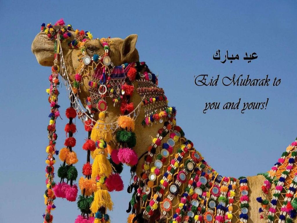 Decorated Camel On E - Eid Ul Adha Mubarak Hd - HD Wallpaper 