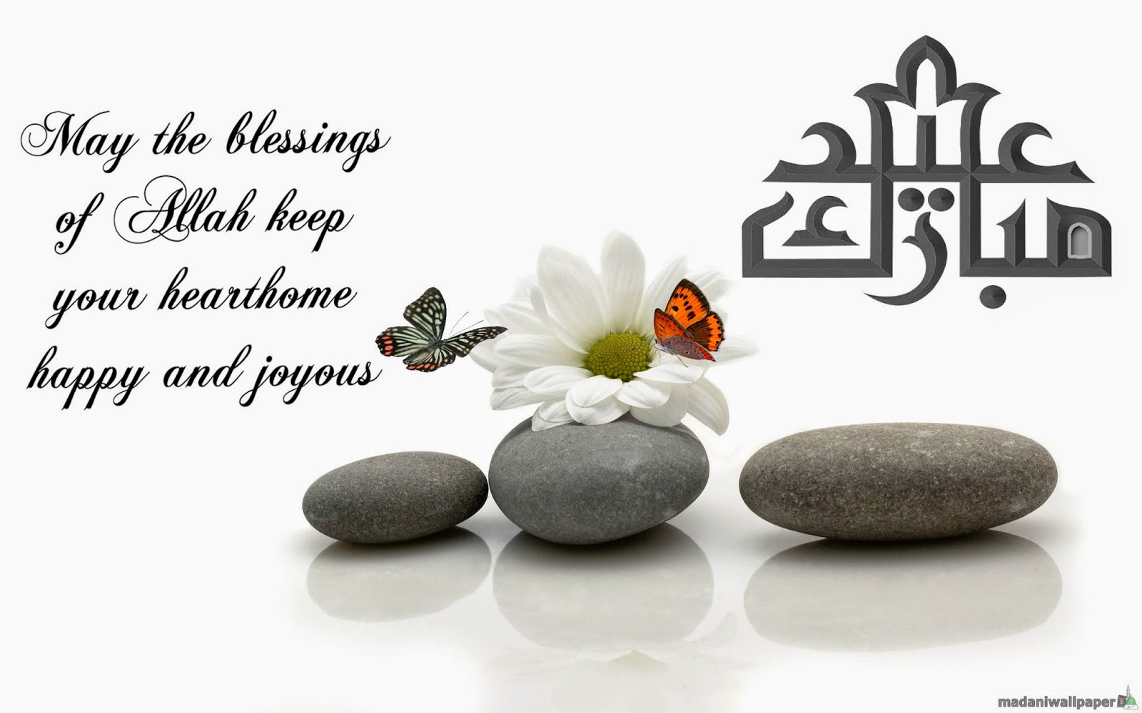 Happy Eid Mubarak Wallpaper Android Phones - Eid Mubarak And Sorry - HD Wallpaper 