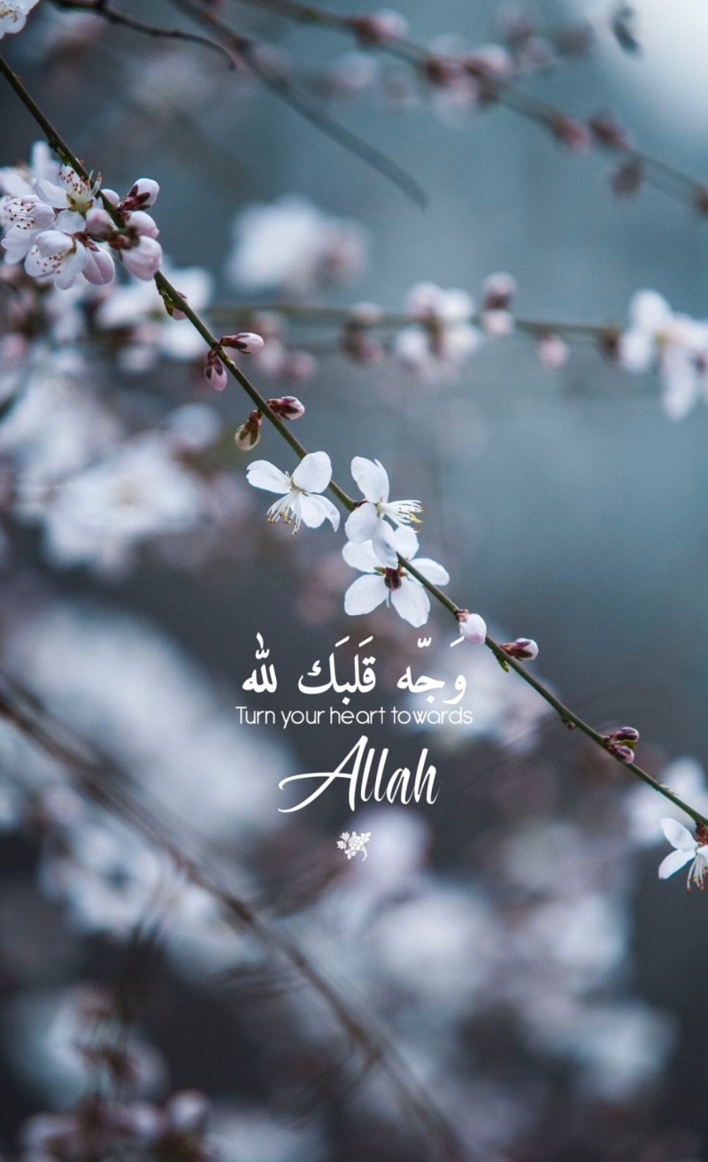 Islamic Quotes - HD Wallpaper 