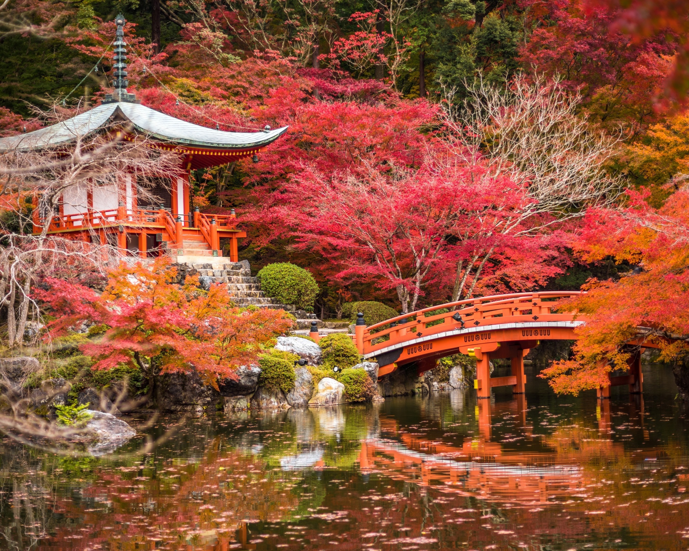 Japan, Shrine, Pagoda, Bridge, Stream, Foliage, Park, - Daigo-ji - HD Wallpaper 