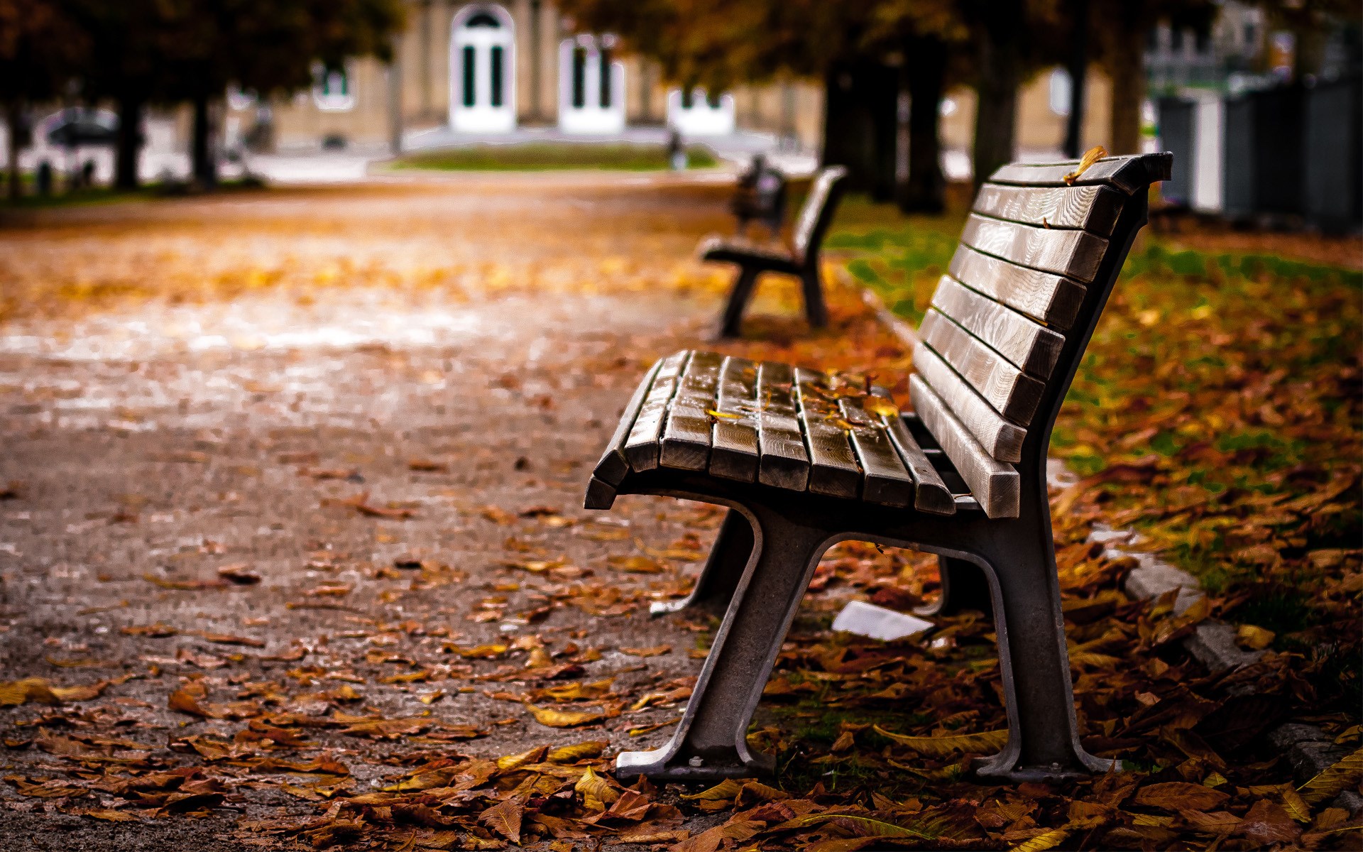 File Name - - Background Bench Images Hd - HD Wallpaper 
