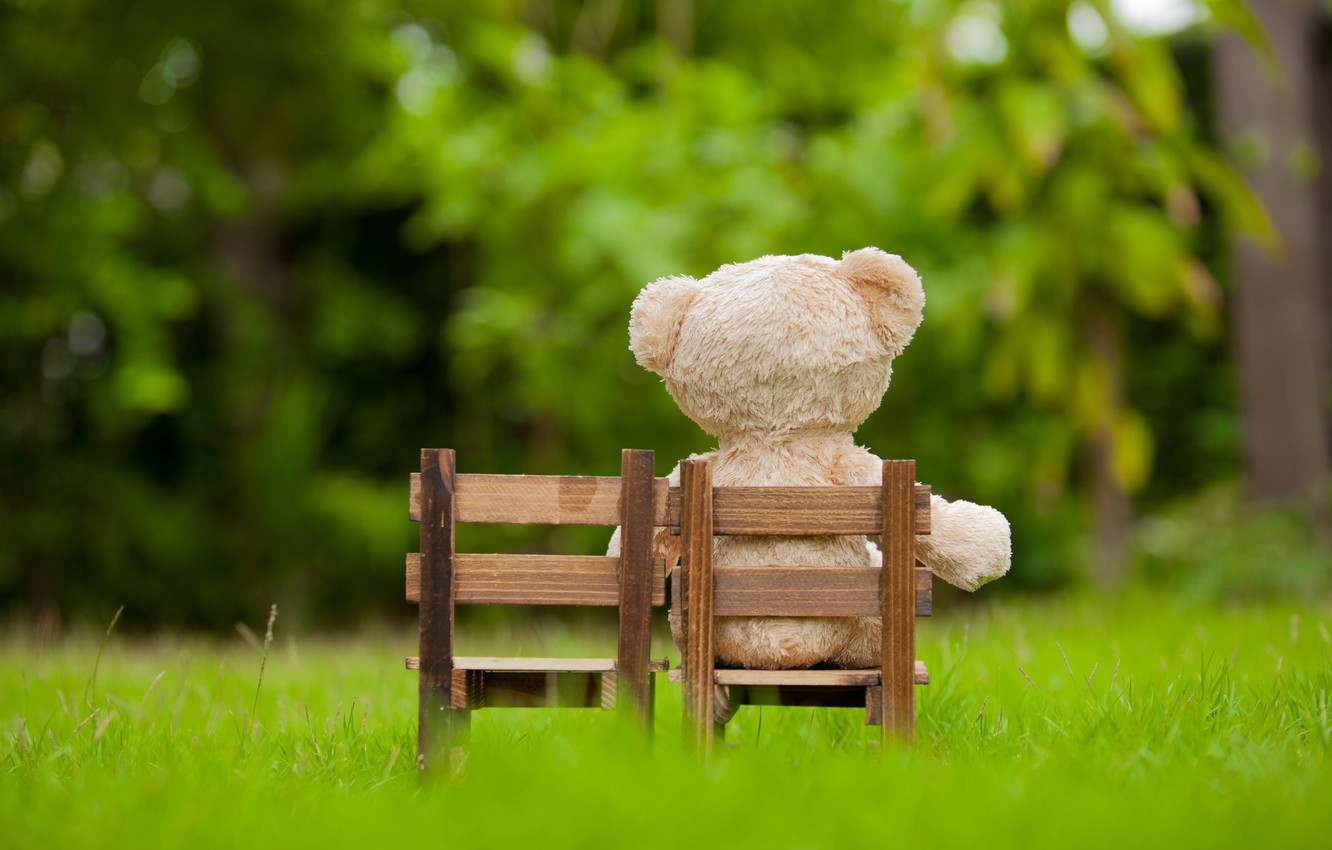 Photo Wallpaper Grass, Toy, Garden, Bear, Chair, Bear, - Sad Mood Sad Teddy - HD Wallpaper 
