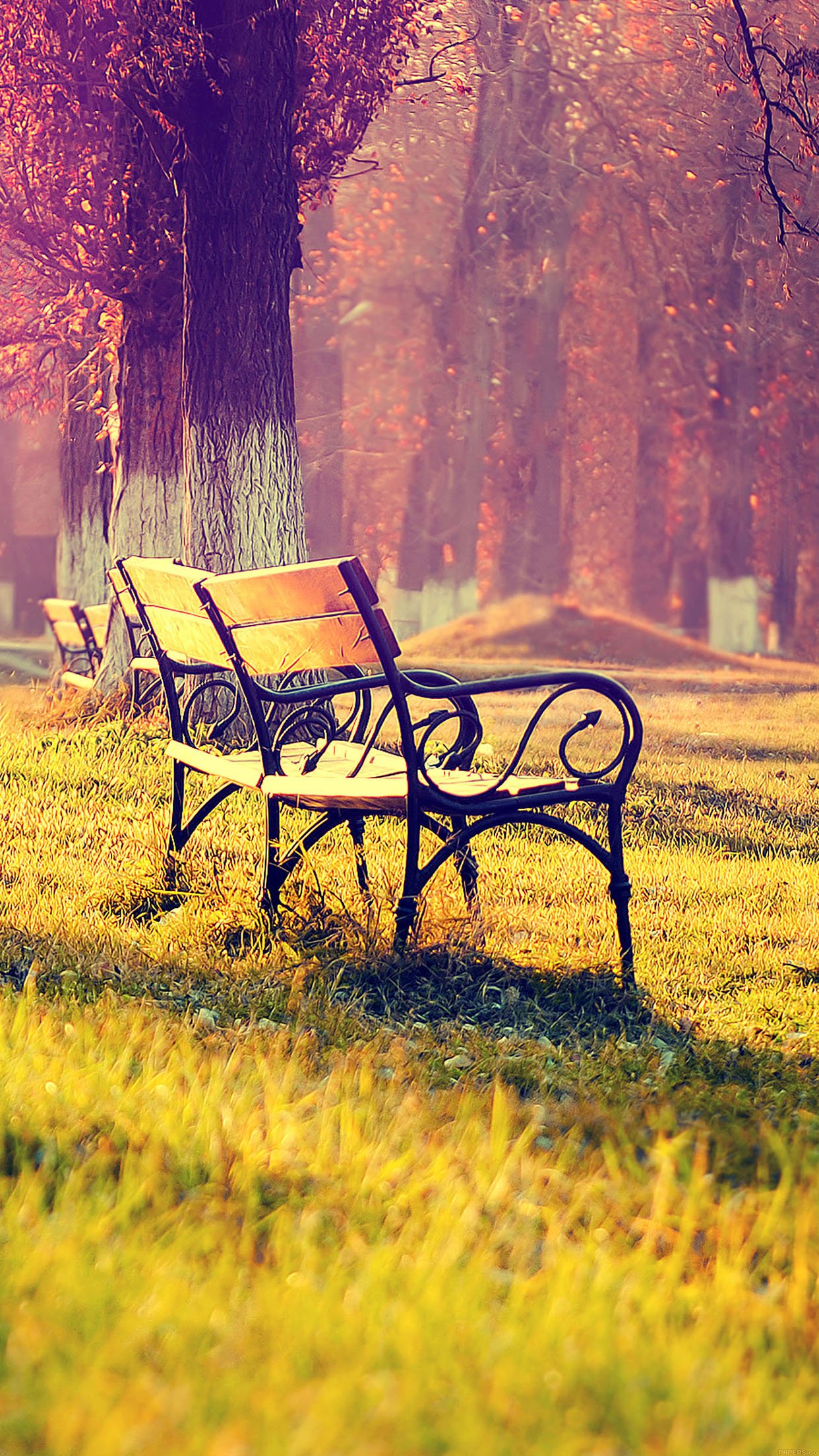 Wallpaper Fall Park Chair Lonely Nature Android Wallpaper - Nature Android Wallpaper  Hd - 1242x2208 Wallpaper 