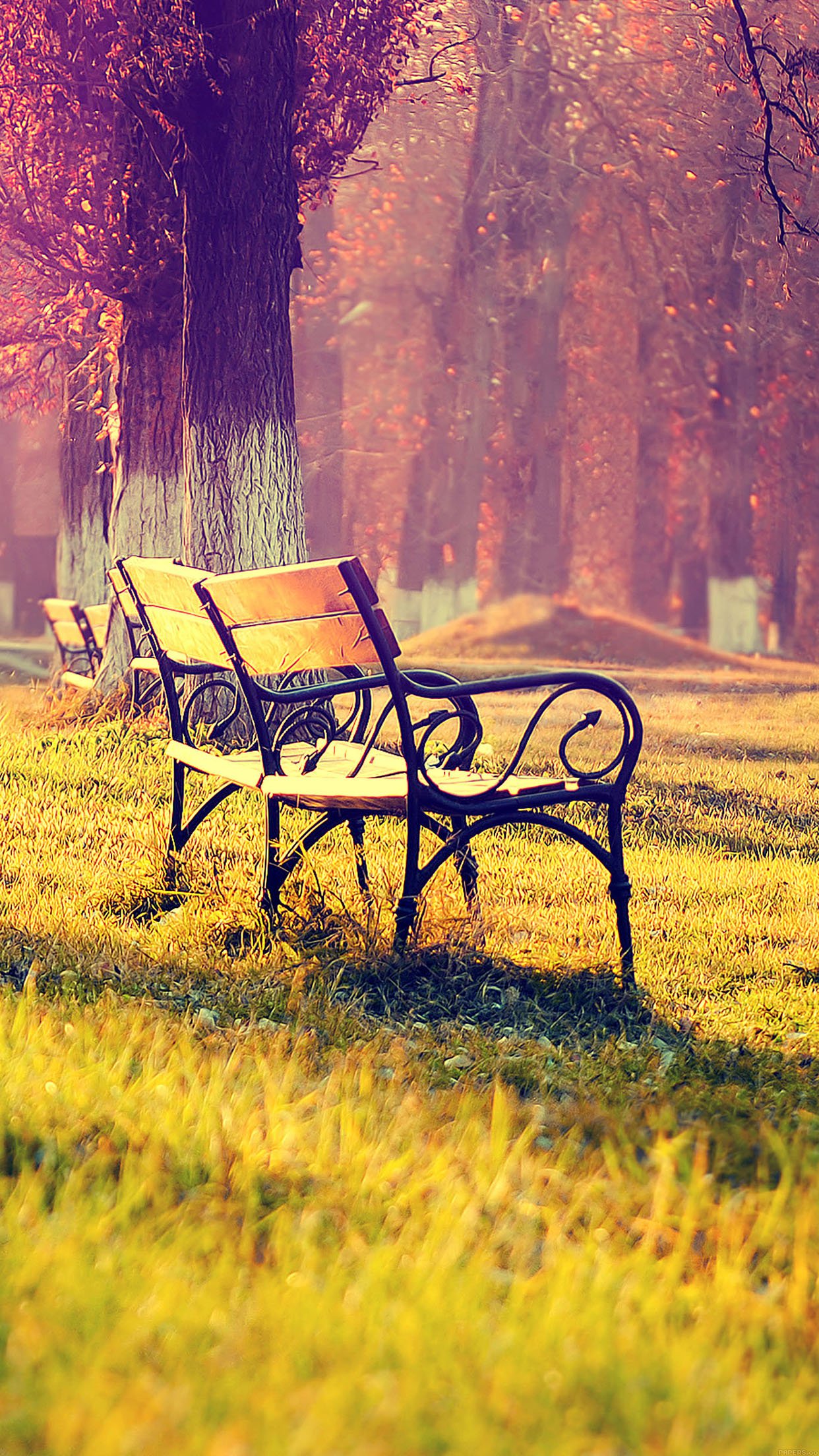 Wallpaper Fall Park Chair Lonely Nature Android Wallpaper - Nature Android Wallpaper Hd - HD Wallpaper 