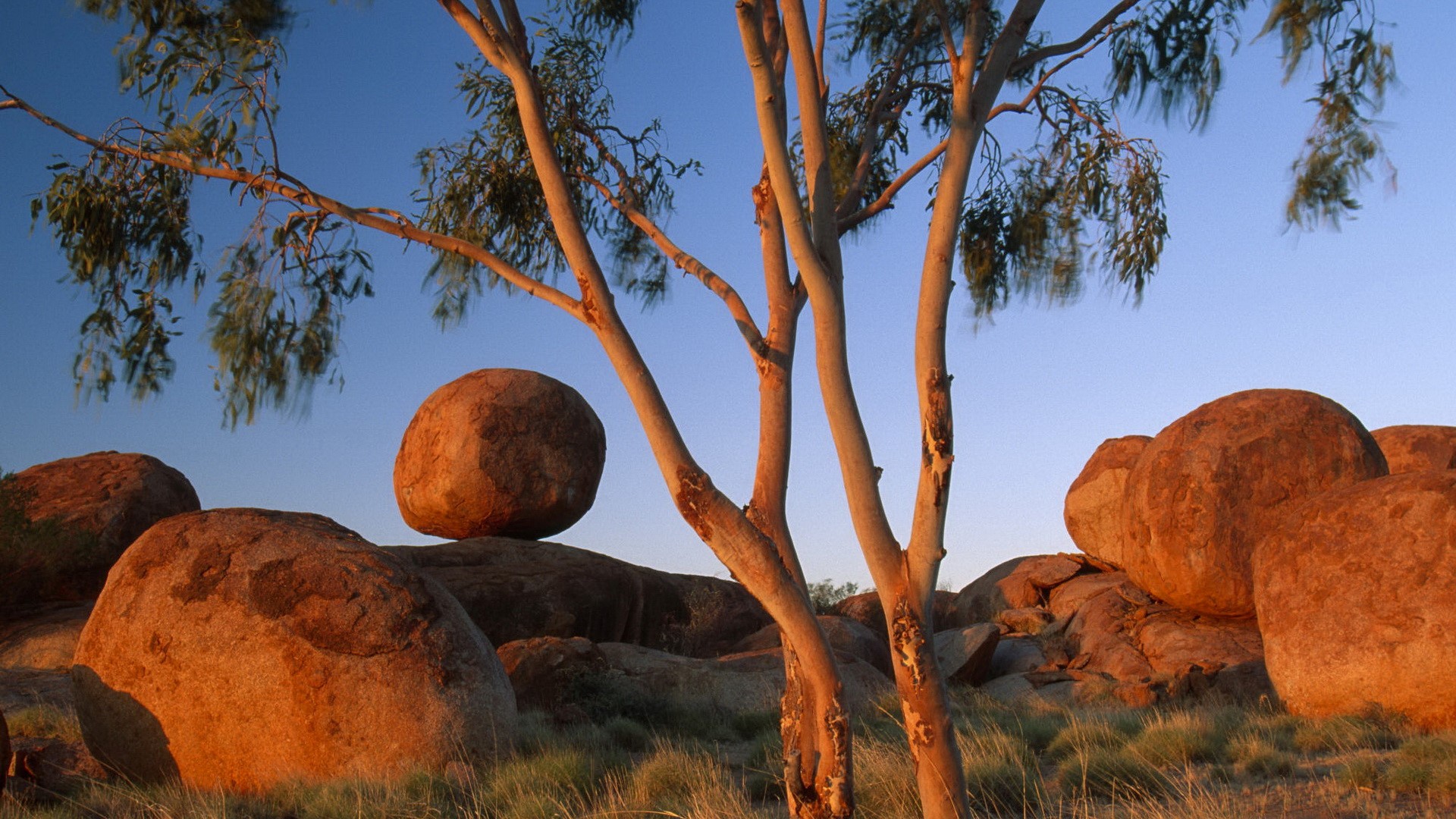 Nature Tree And Round Stone Wallpaper - Australia Desk Calendar 2020 - HD Wallpaper 