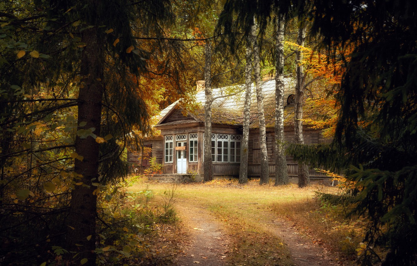 Photo Wallpaper Autumn, Forest, Nature, House - Autumn Forest House Night - HD Wallpaper 