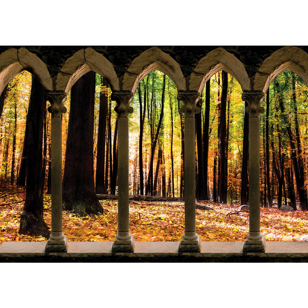 Tapeta Na Zeď Les - HD Wallpaper 