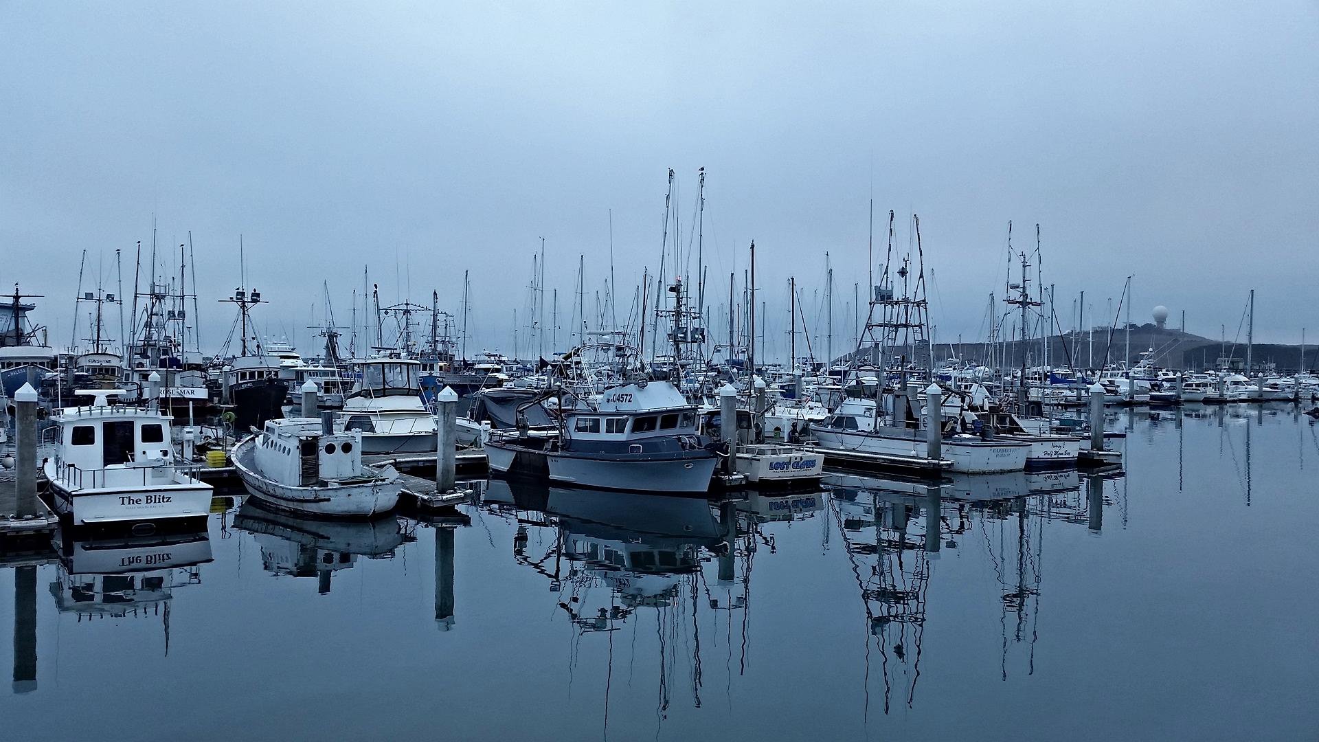 Pillar Point Harbor - Harbor - HD Wallpaper 