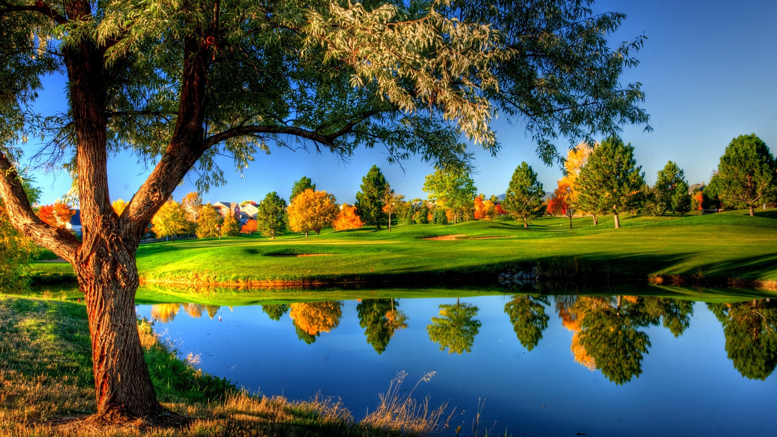 Wallpaper - Latest Nature - 2560x1440 Wallpaper Wallpaper - Latest Nature - 2560x1440 Wallpaper
