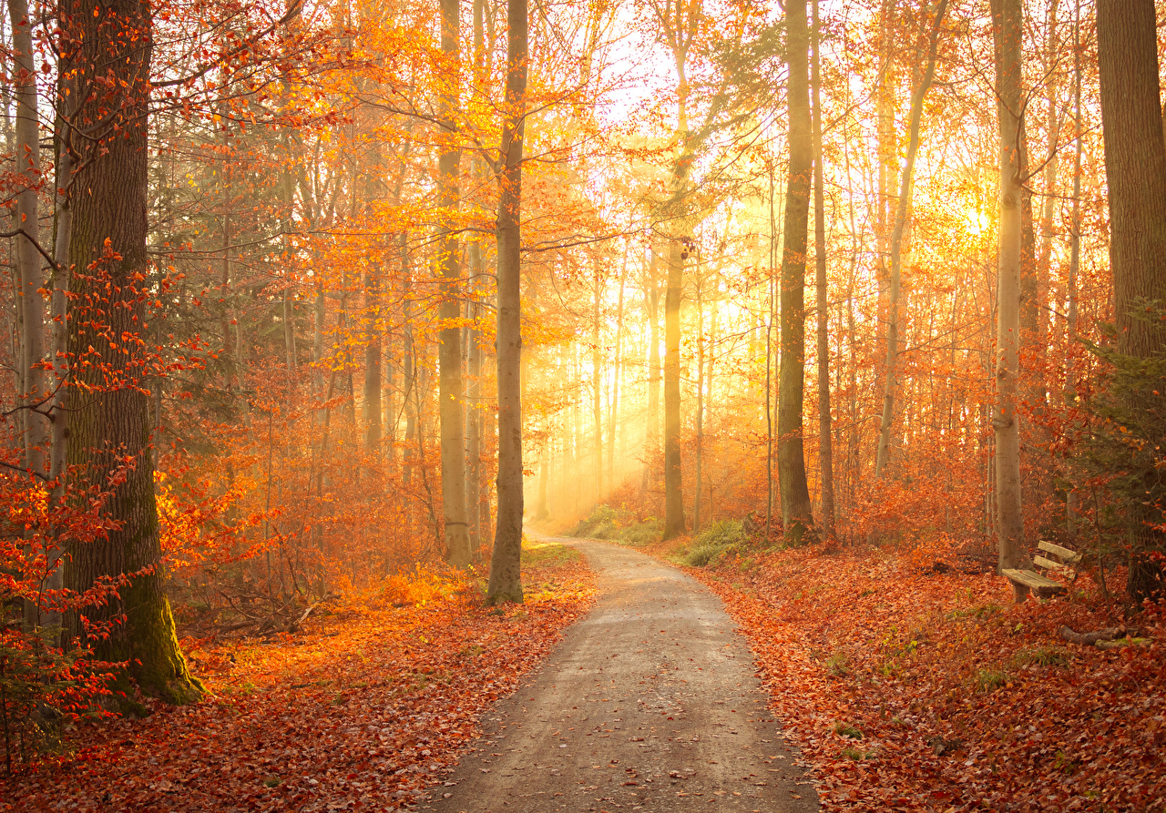 Automne Dans Le Perche - HD Wallpaper 