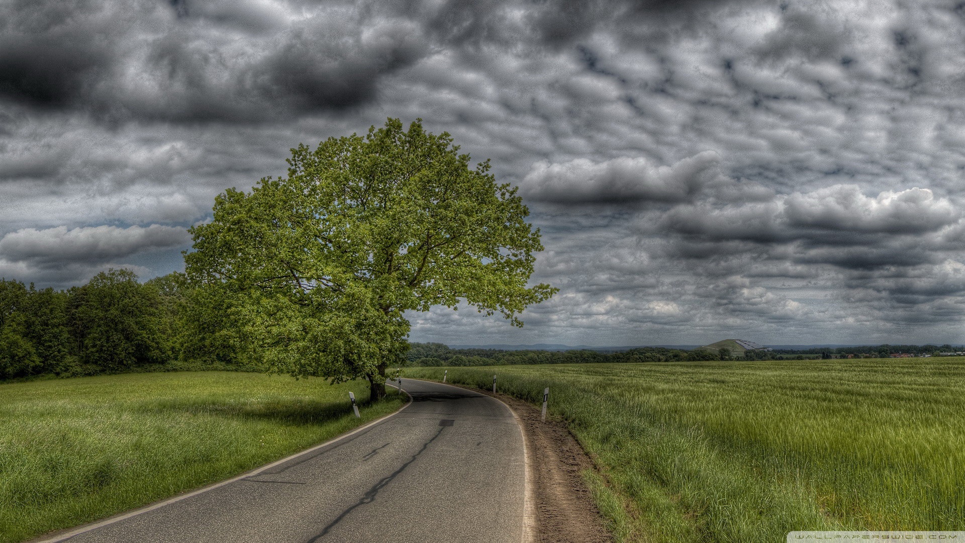 Curved Road - HD Wallpaper 