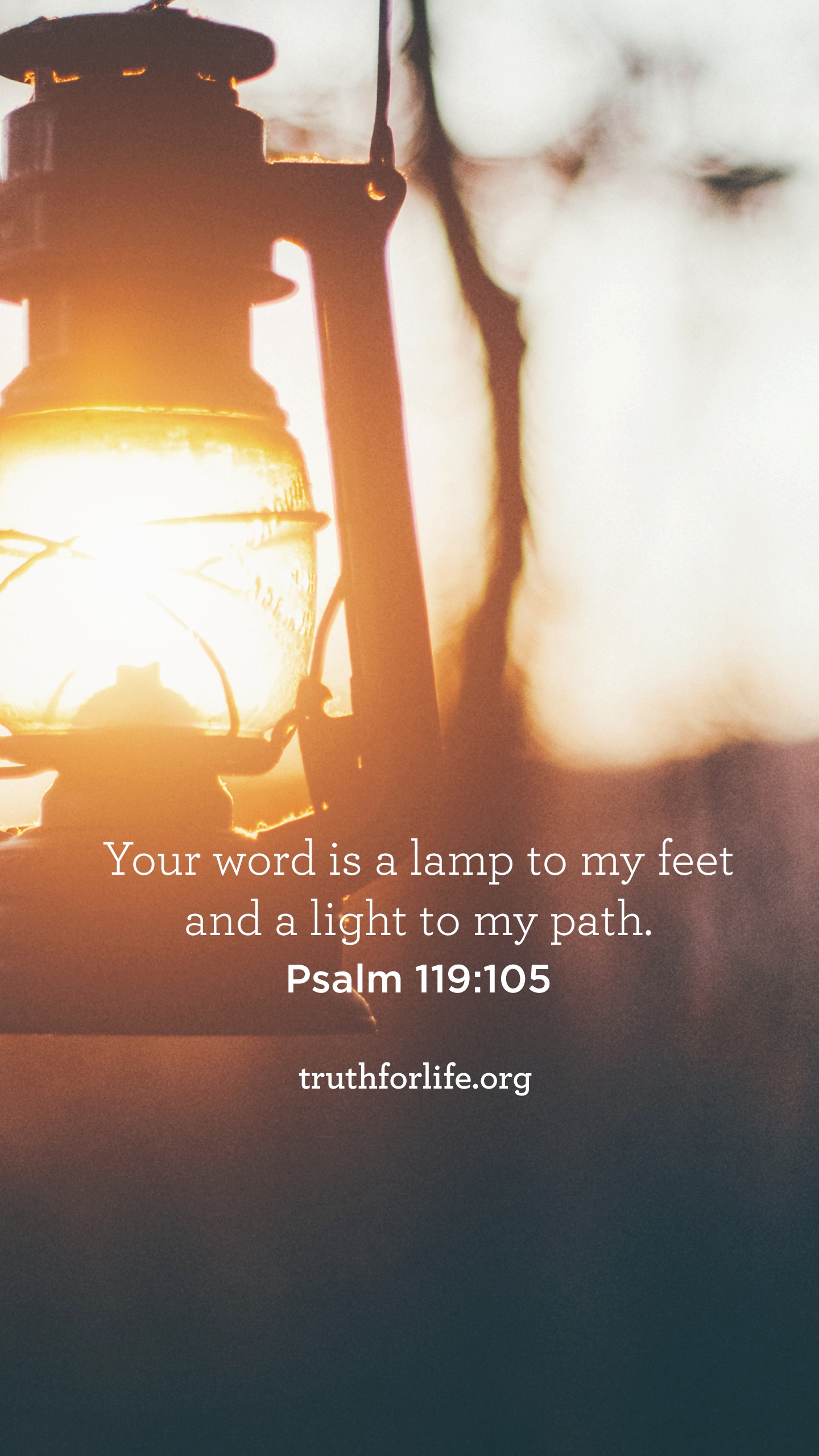 Light To My Path - HD Wallpaper 