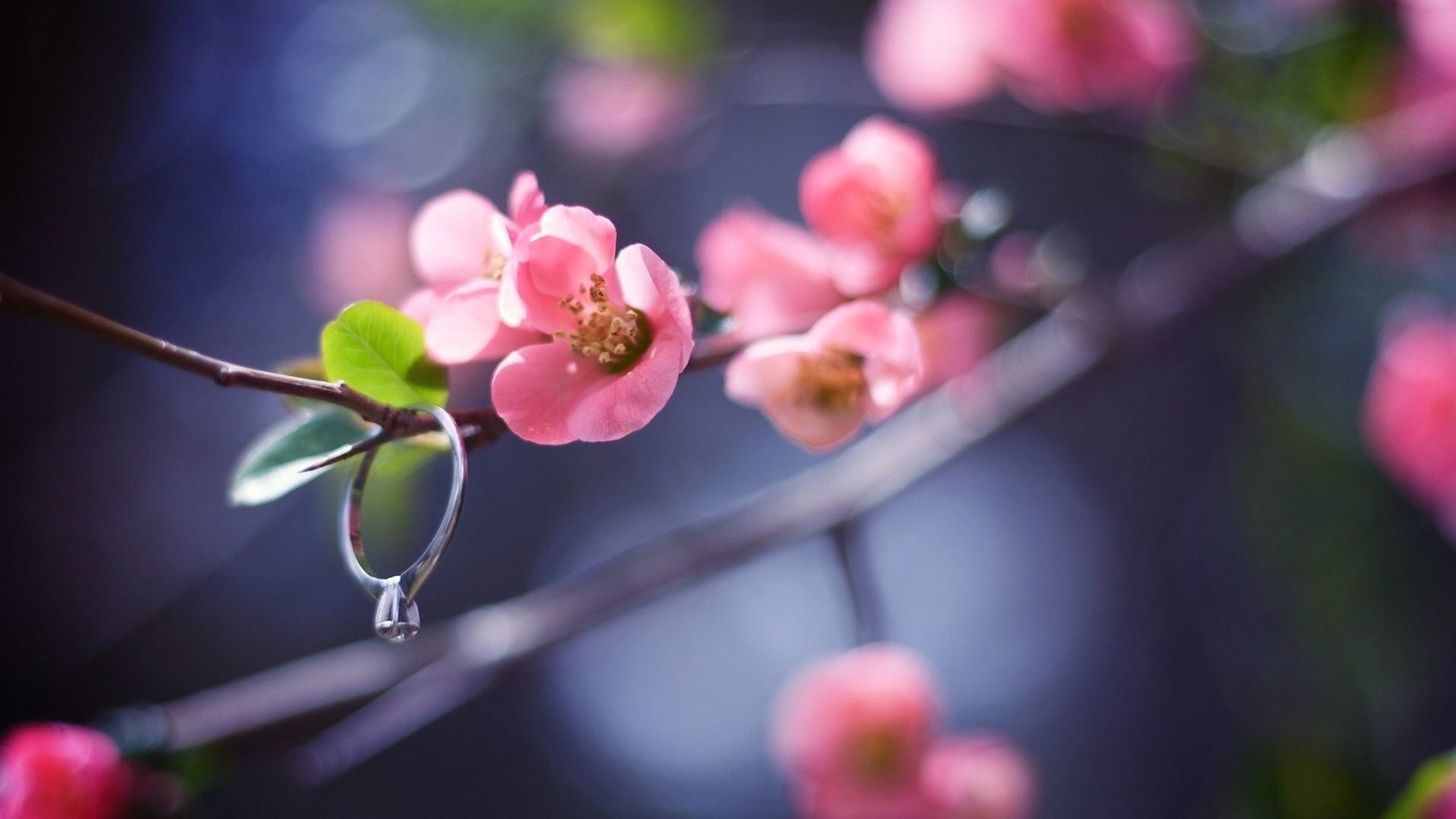 Engagement Hd Wallpaper Download - HD Wallpaper 