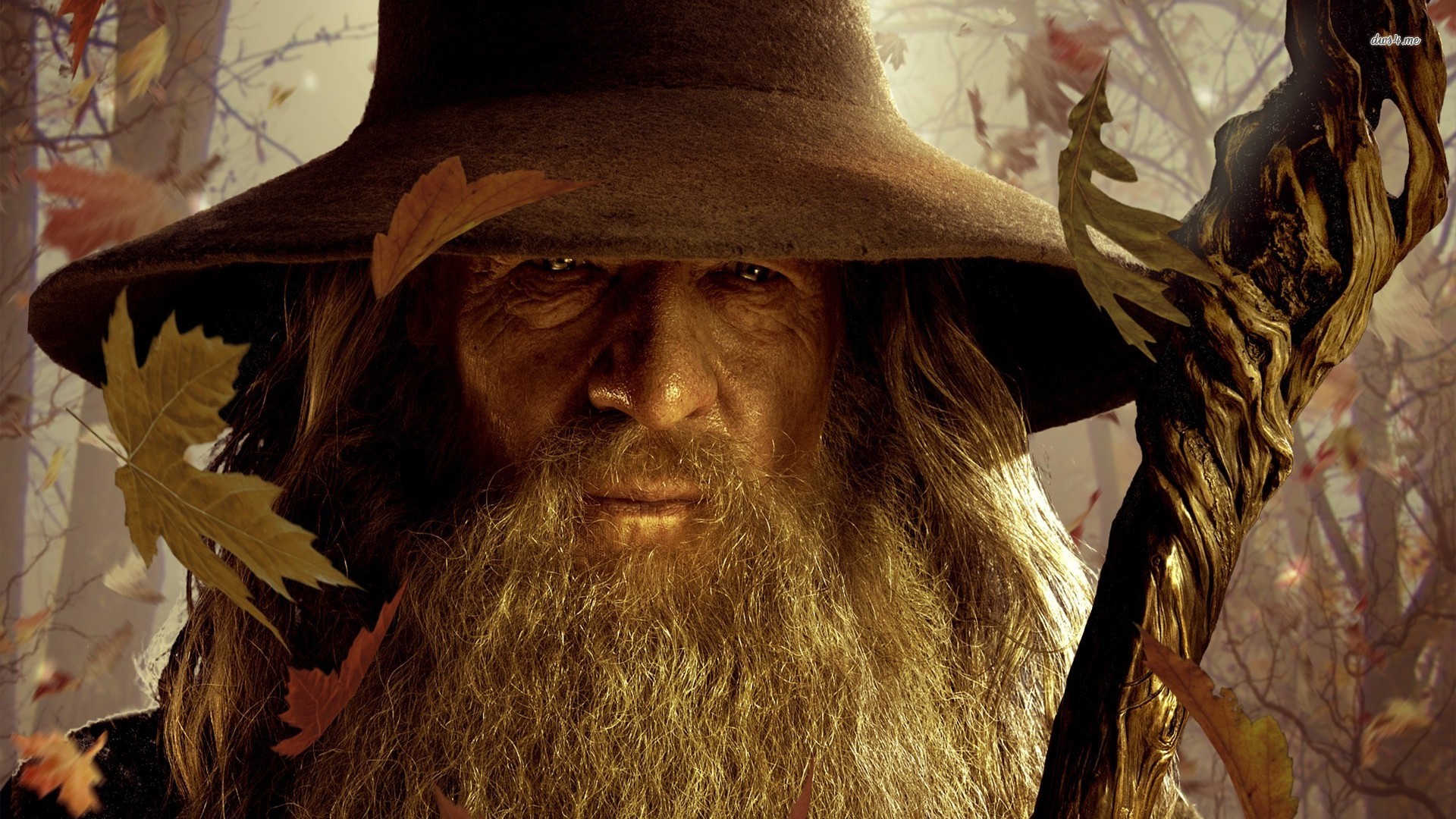 Lord Of The Rings Gandalf Wallpaper Hd - HD Wallpaper 
