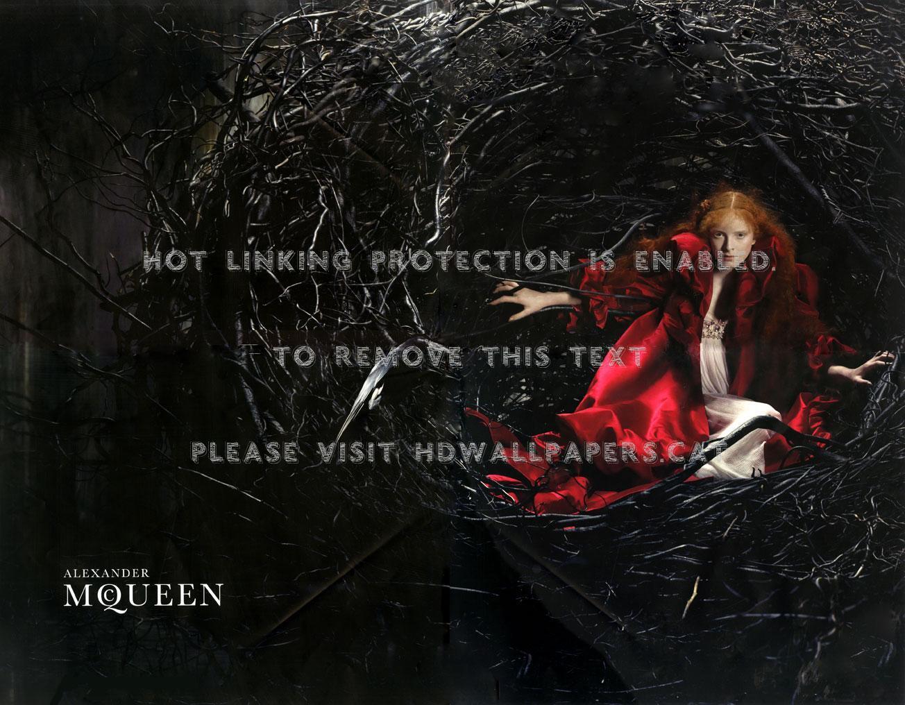 Alexander Mcqueen Red Black Designer Dress - Alexander Mcqueen Fall 2008 Ad Campaign - HD Wallpaper 