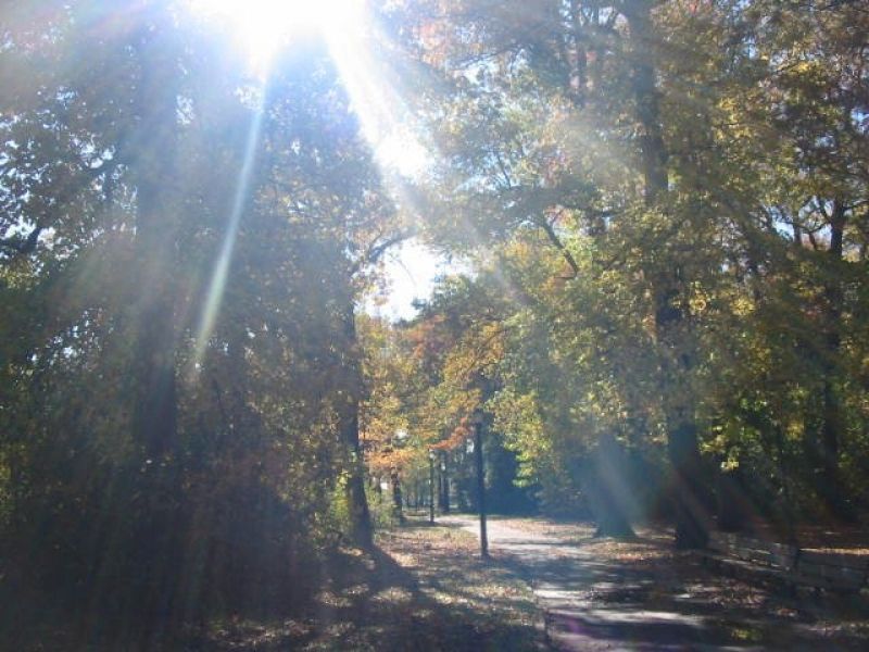 Sunlight - HD Wallpaper 