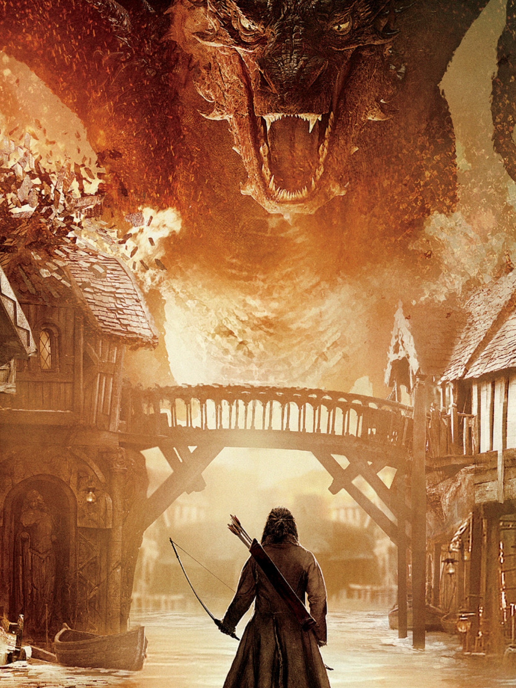 1668x2224, Download Lord Of The Rings, Aragorn Wallpaper - Smaug Hobbit - HD Wallpaper 