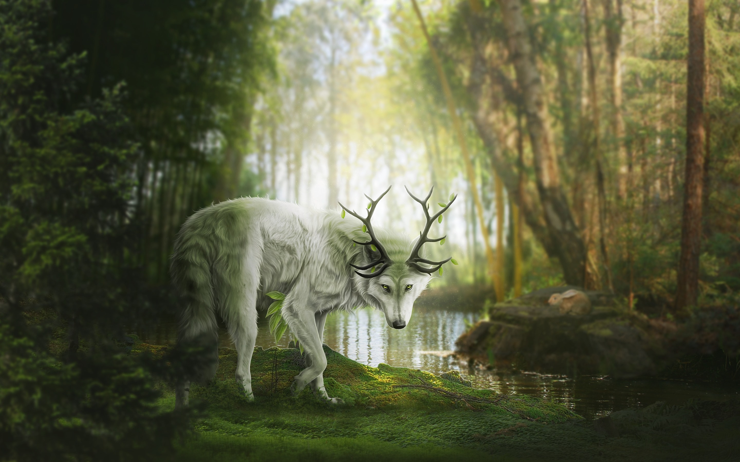Wallpaper Fantasy Animal, Wolf Or Deer, Forest - Old-growth Forest - HD Wallpaper 