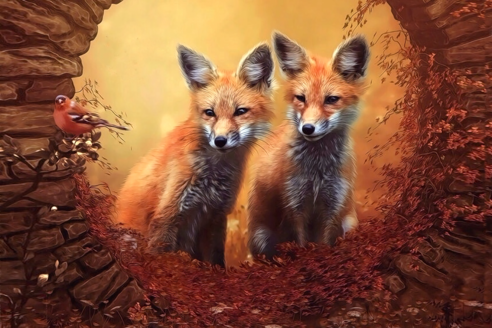 Foxes Background - HD Wallpaper 