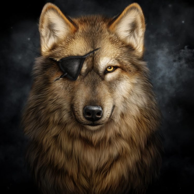 Eye Patch Wolf - HD Wallpaper 