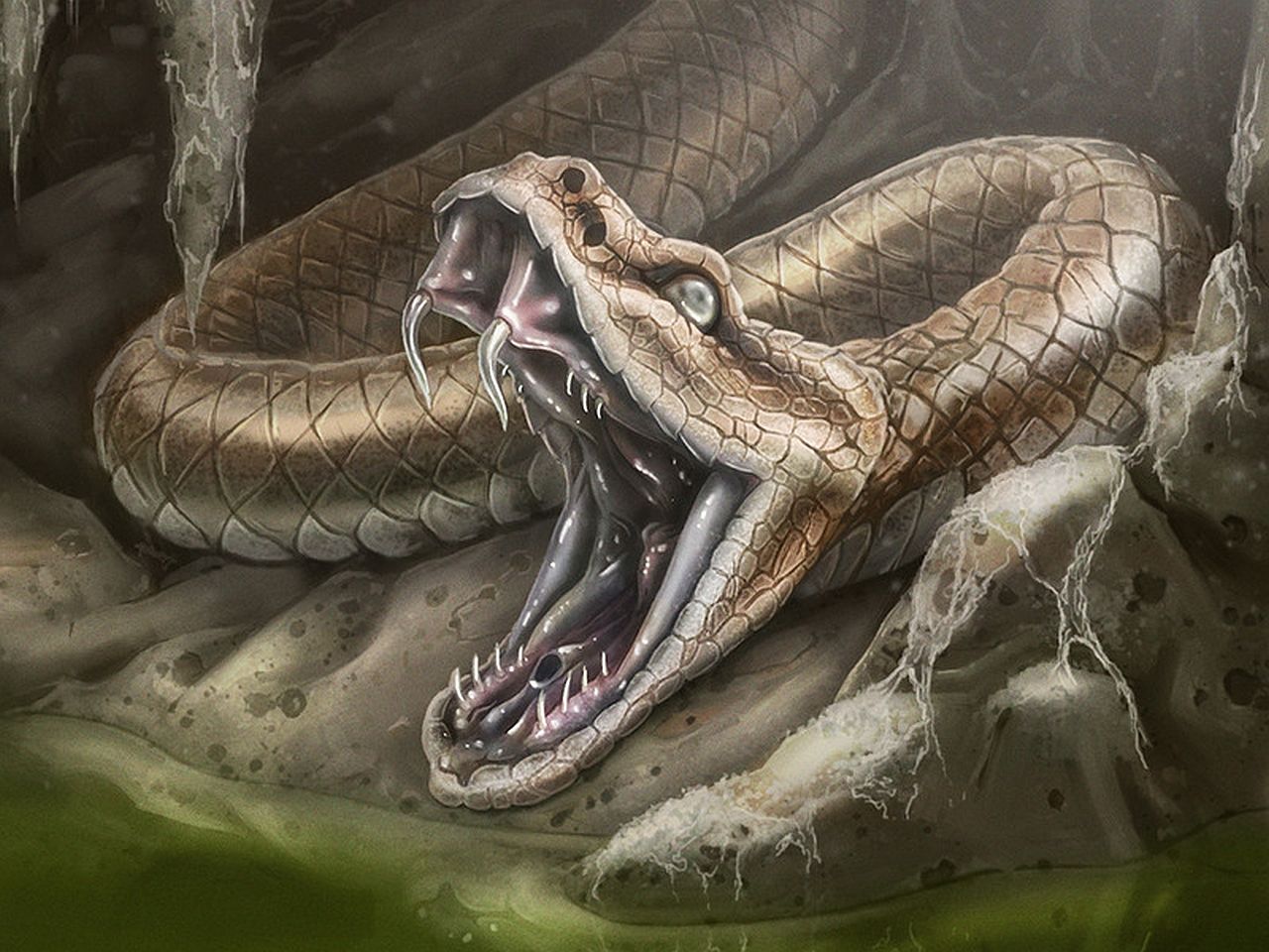 Snake Mythology - HD Wallpaper 