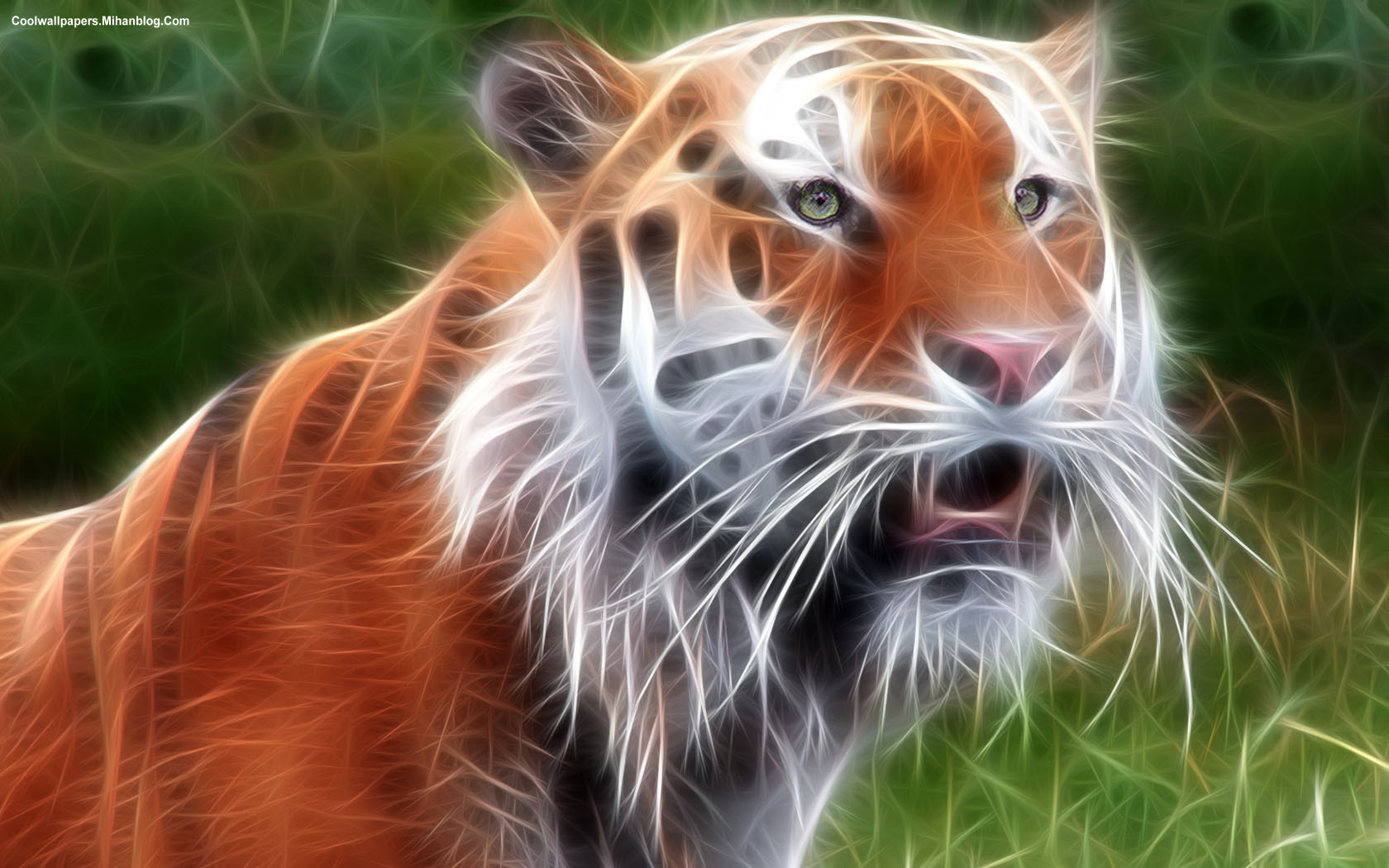 Wild Animals Beautiful Free - HD Wallpaper 